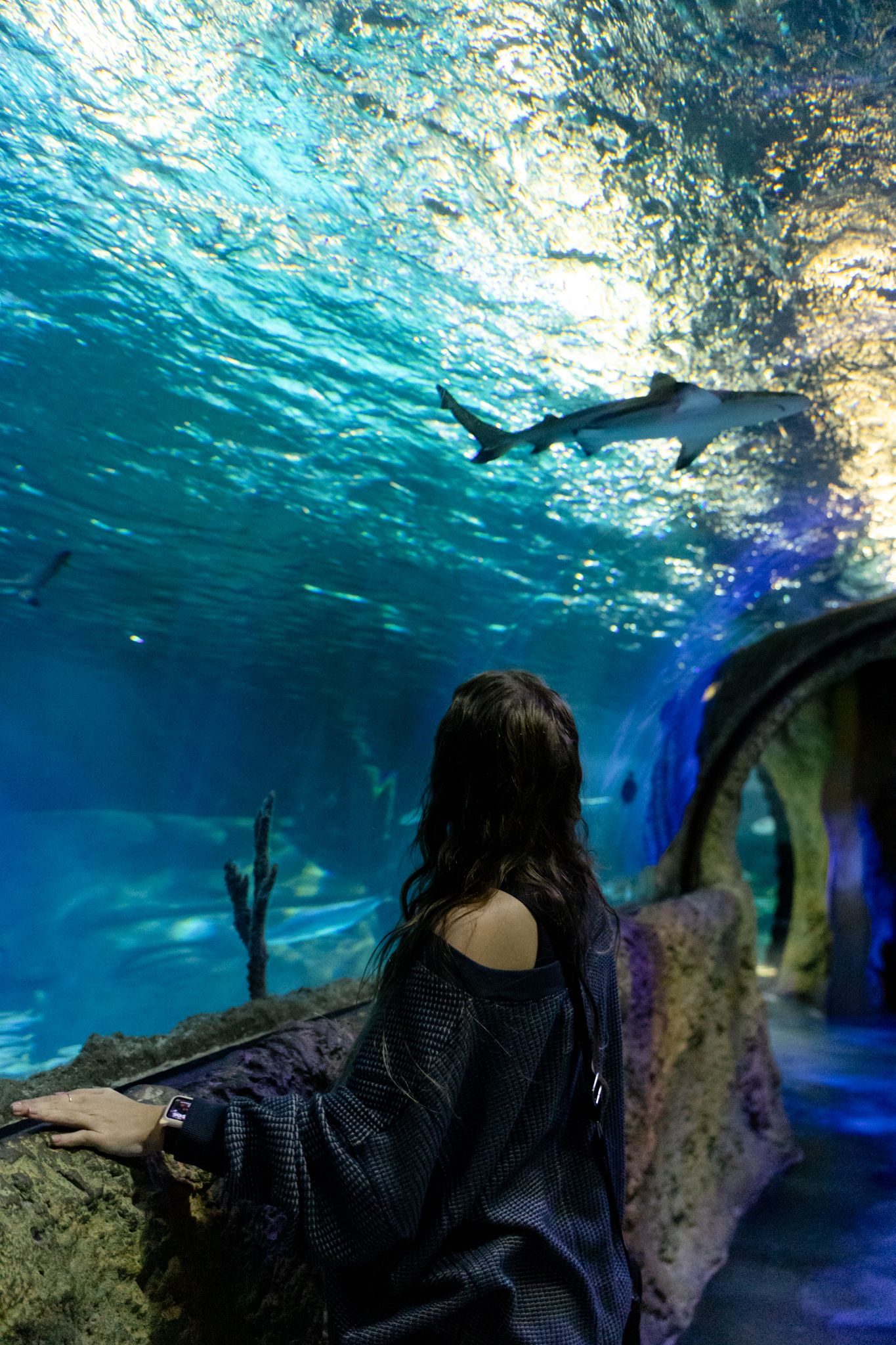 Woman in black dress gazes at sharks swimming overhead in a stunning blue aquarium tunnel exhibit.
