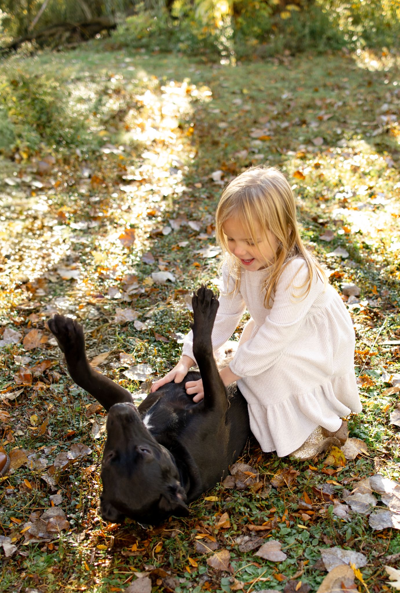 A child in white plays with a black dog rolling in autumn leaves under trees.
