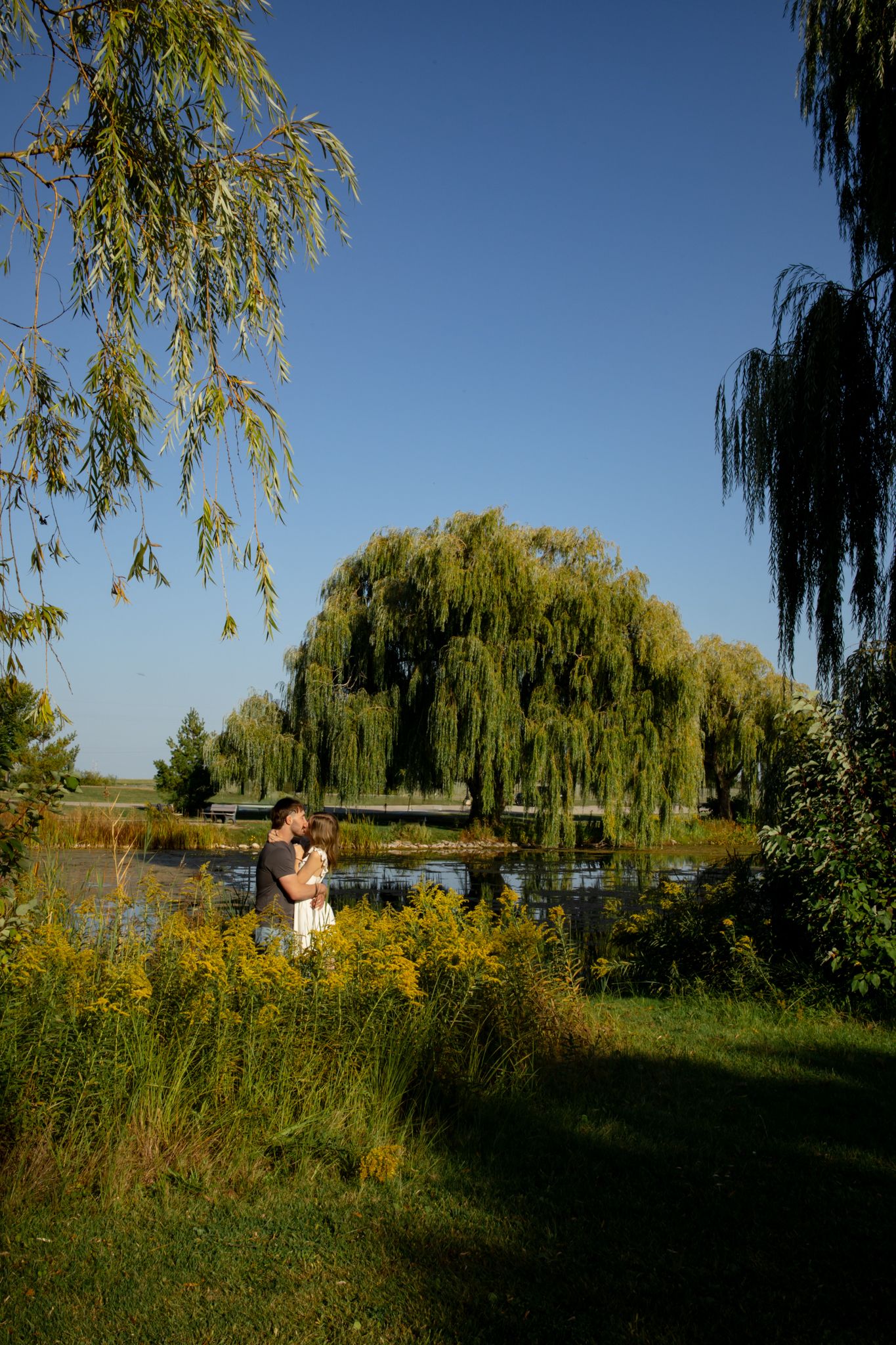 A scenic landscape with willow trees and a lake during golden hour.