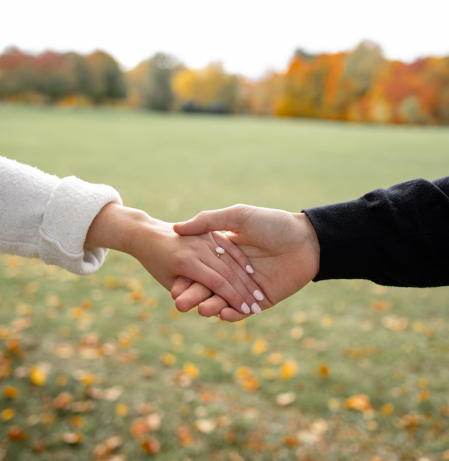 Hands reaching toward each other against an autumn backdrop with fallen leaves.