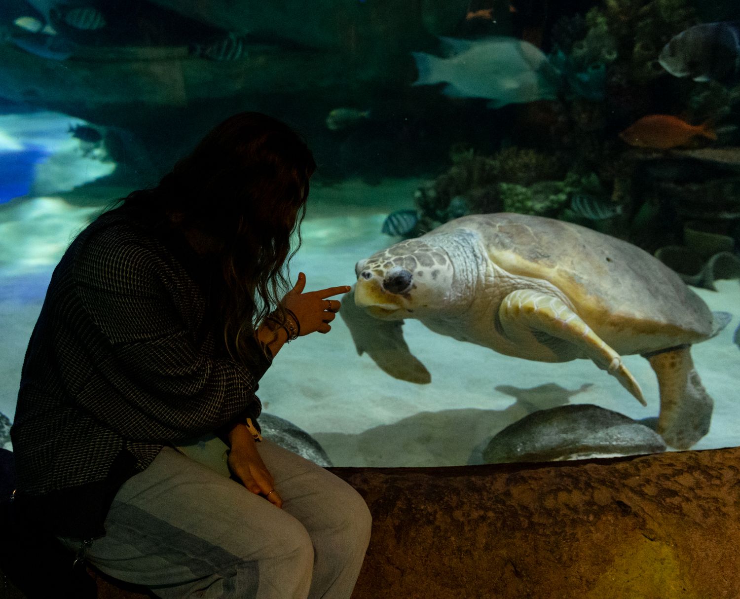 Woman pointing at a large sea turtle through an aquarium glass tank with colorful coral reef in background.