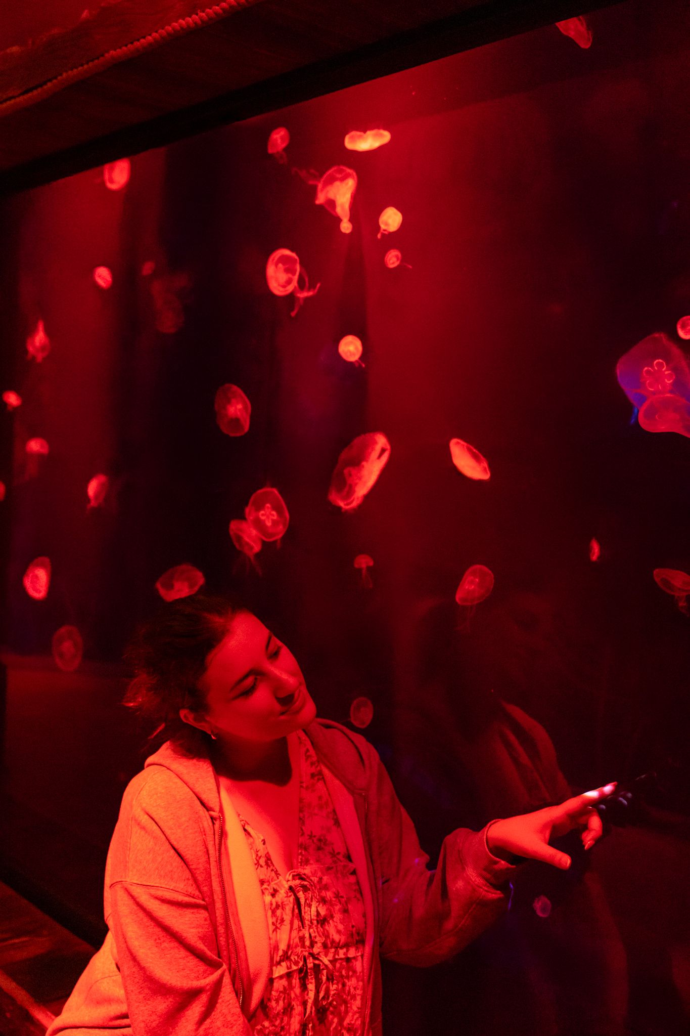 A woman looks up at glowing jellyfish in a red-lit aquarium tank while holding a smartphone.