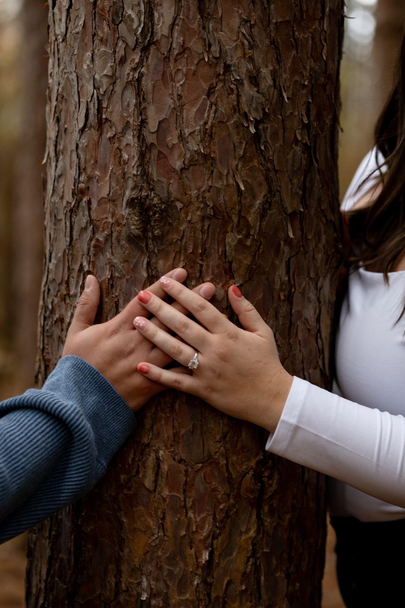 Detail shots of hands touching tree bark showing an engagement ring.