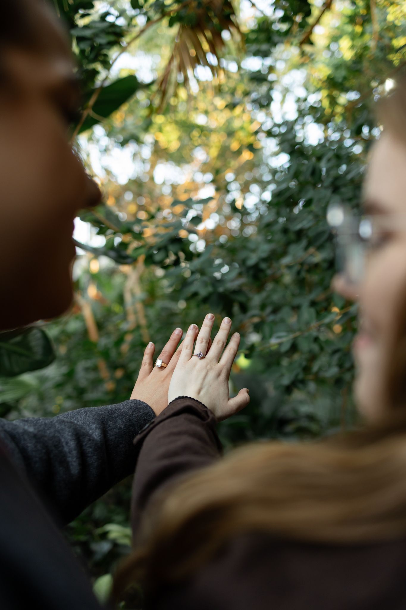 Two hands raised against a blurred green foliage background in soft natural lighting.