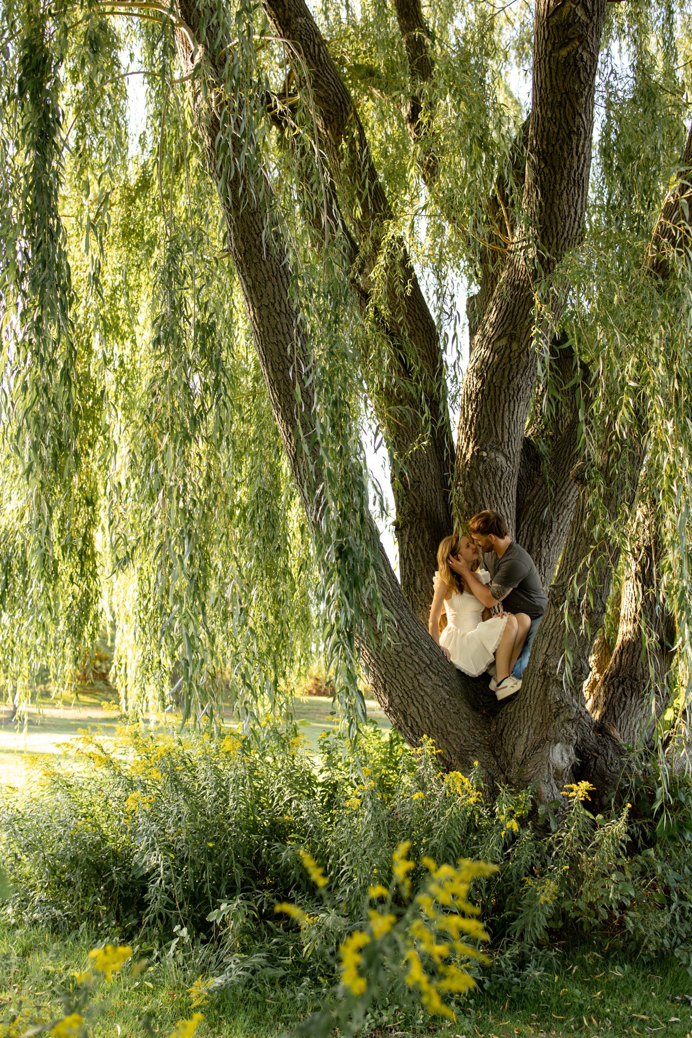A couple sits together in a willow tree surrounded by yellow wildflowers.