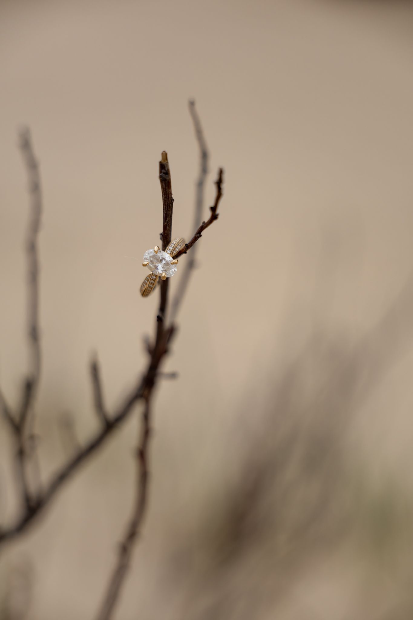 Gold diamond engagement ring placed on a bare winter twig branch against a soft beige bokeh background.
