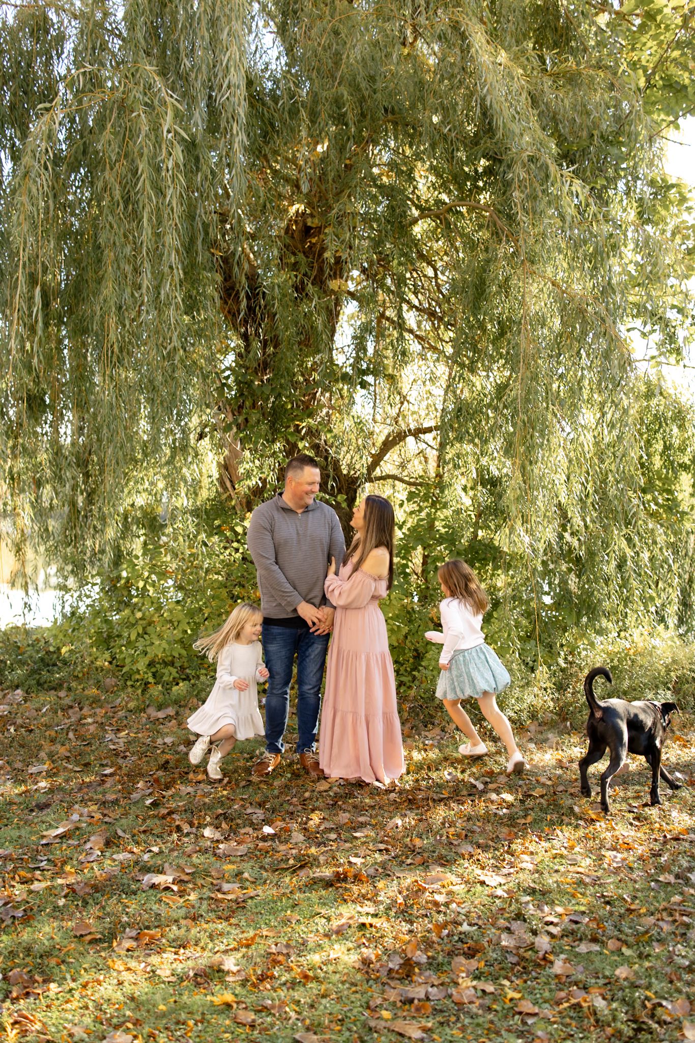 A playful outdoor autumn scene with willow trees, fallen leaves, and a black dog joining a family photoshoot.