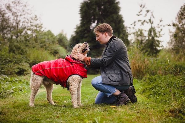 A person kneels down to pet a large dog wearing a red coat in a grassy outdoor setting.