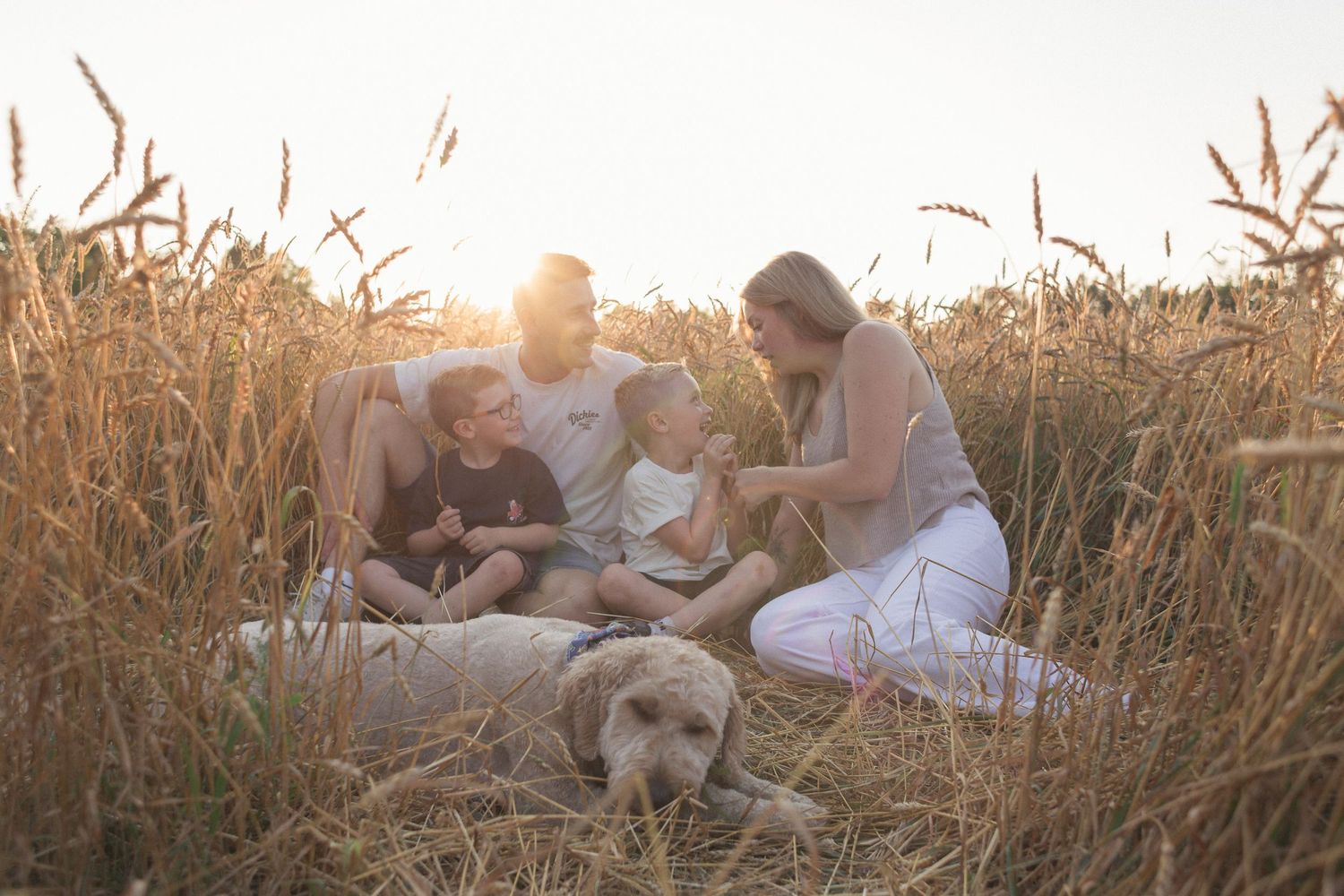 Séance photo de famille lifestyle dans un champ de blé, sous la douce lumière de fin de journée.
