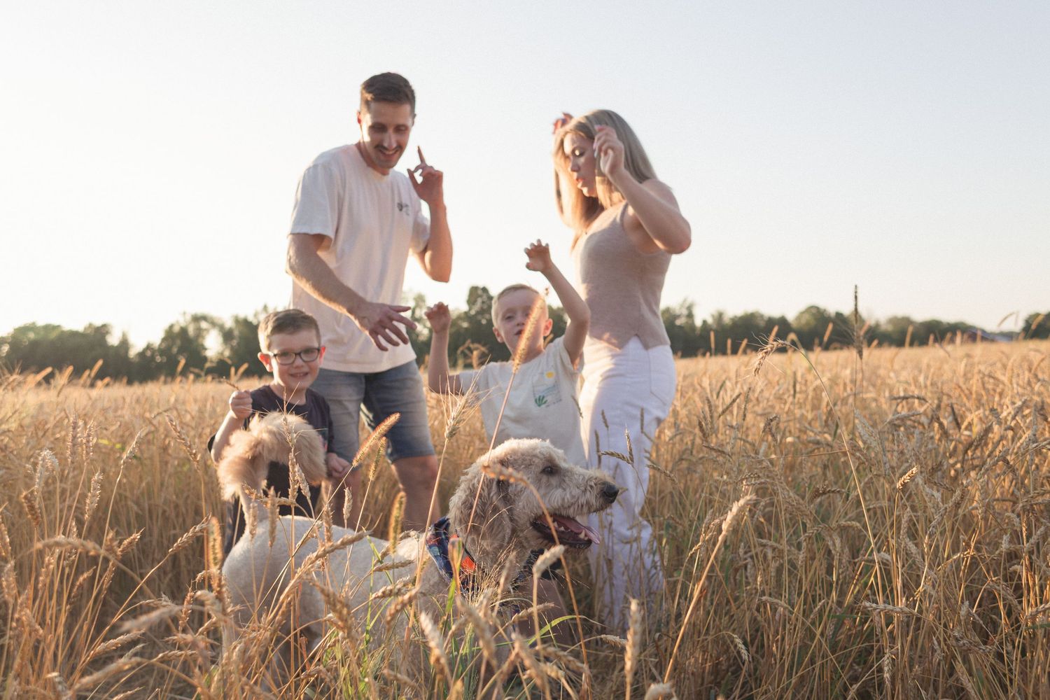 Une famille qui danse dans un champ de blé avec leur chien, sous les rayons doux du soleil couchant.