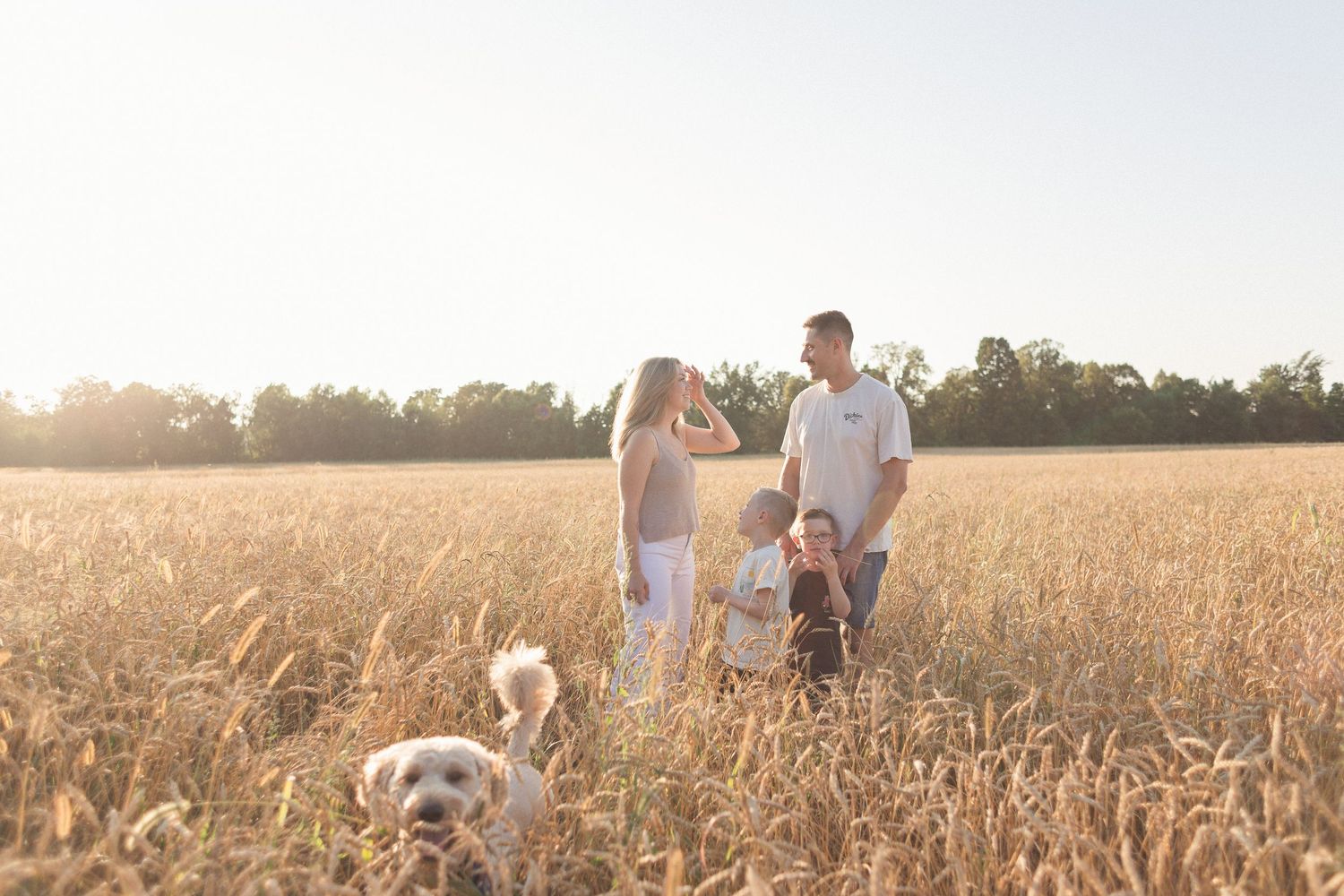 Une famille marchant dans un champ en fin de journée, accompagnée de leur chien qui court.