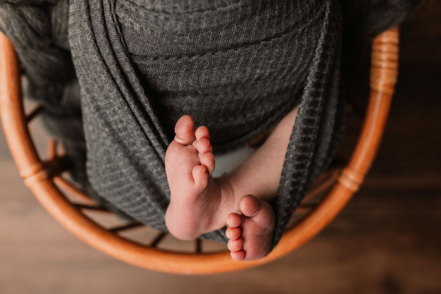 newborn photographer rockwood pa
