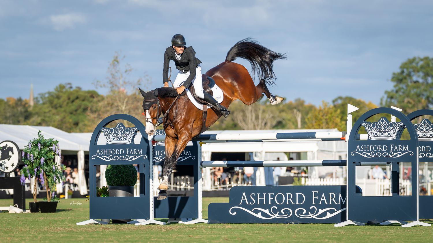 Tom McDermott & Cooley Gangster competing in the Grand Prix at Showcase of Showjumping. © Simon Scully, 2025.