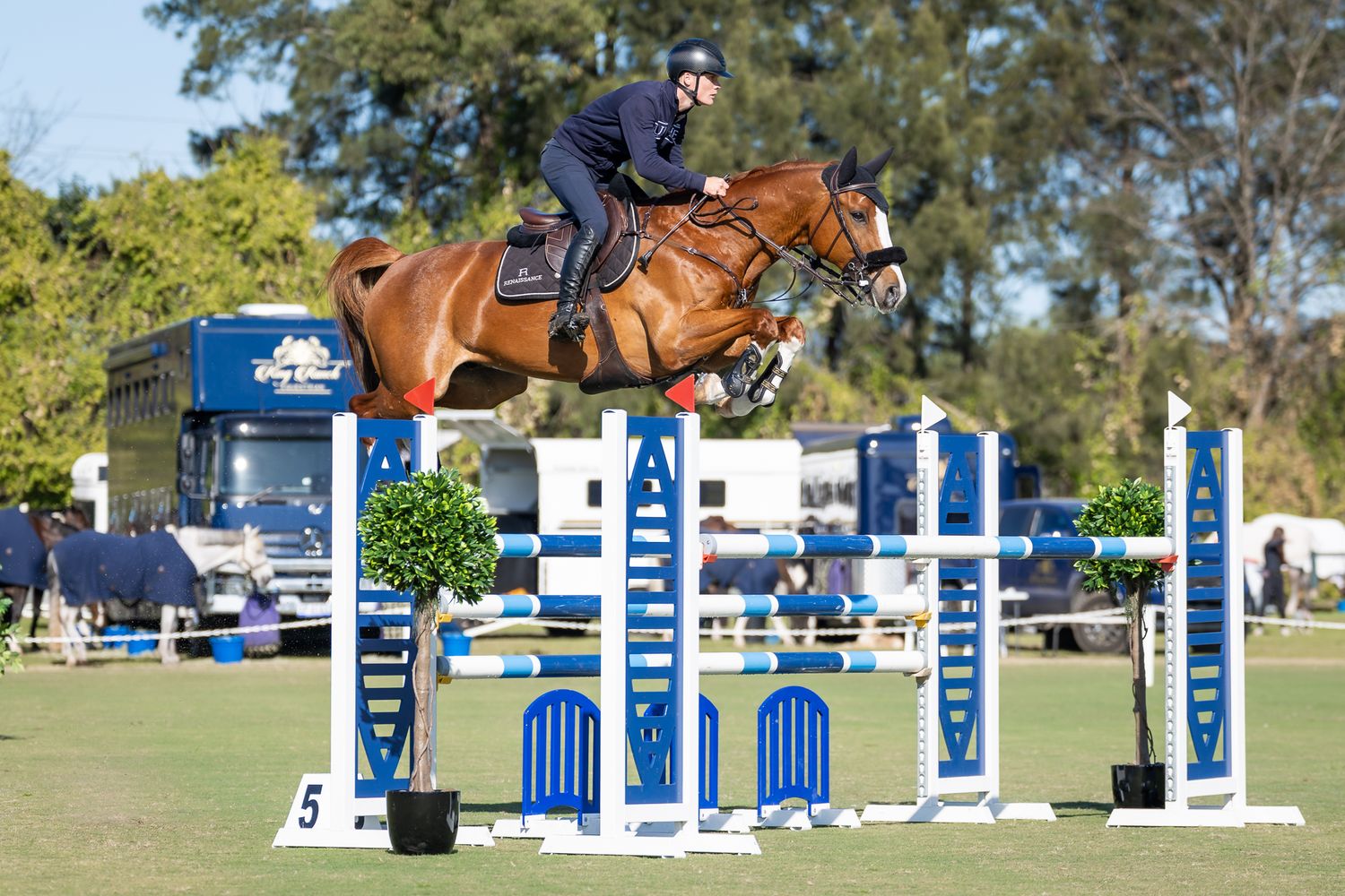 Liam Rutland training at Sydney Jumping Association. © Simon Scully, 2025.