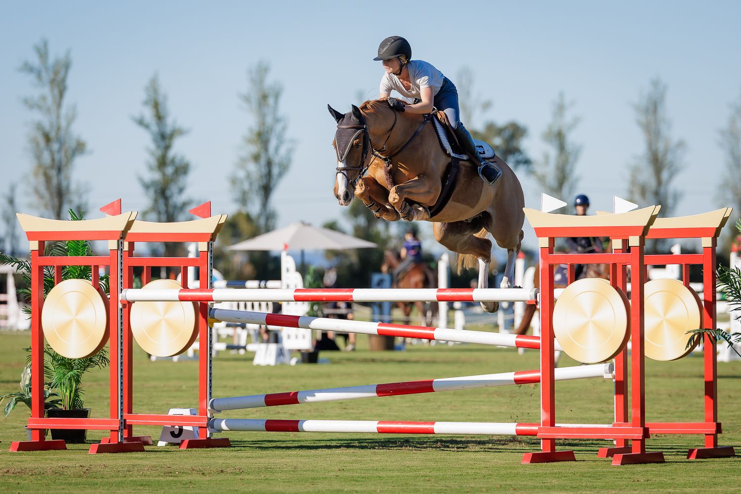 Sam Carrington & Double J Odin jumping 1.30 at Sydney Jumping Association. © Simon Scully, 2026.