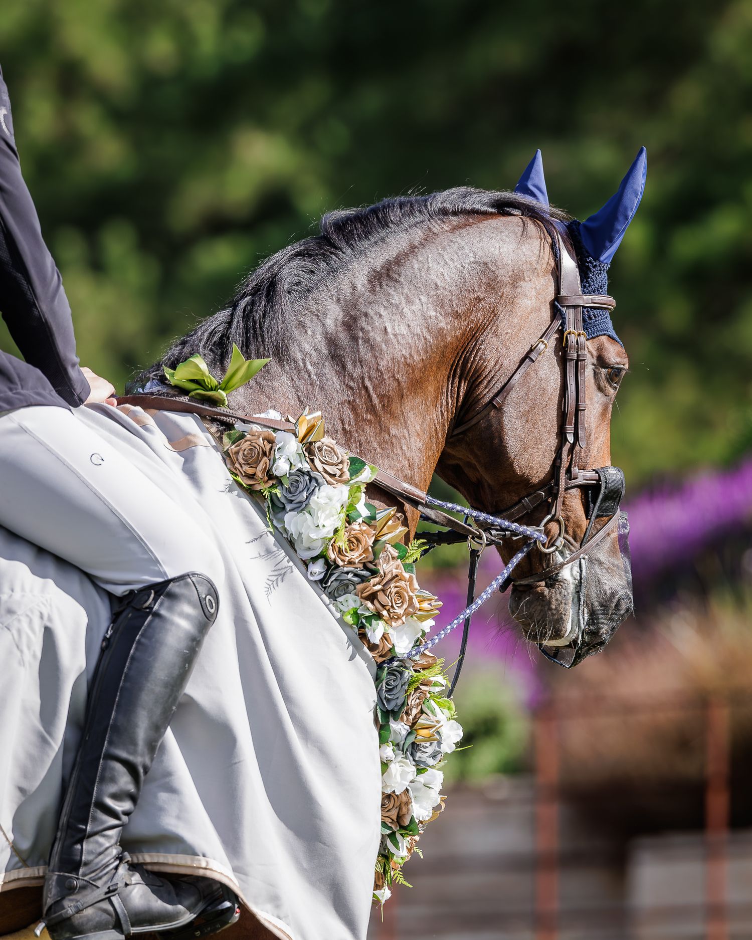 Ogano (ridden by Charlie Magnier) won the 2026 Stonewall Grand Prix. © Simon Scully, 2026.