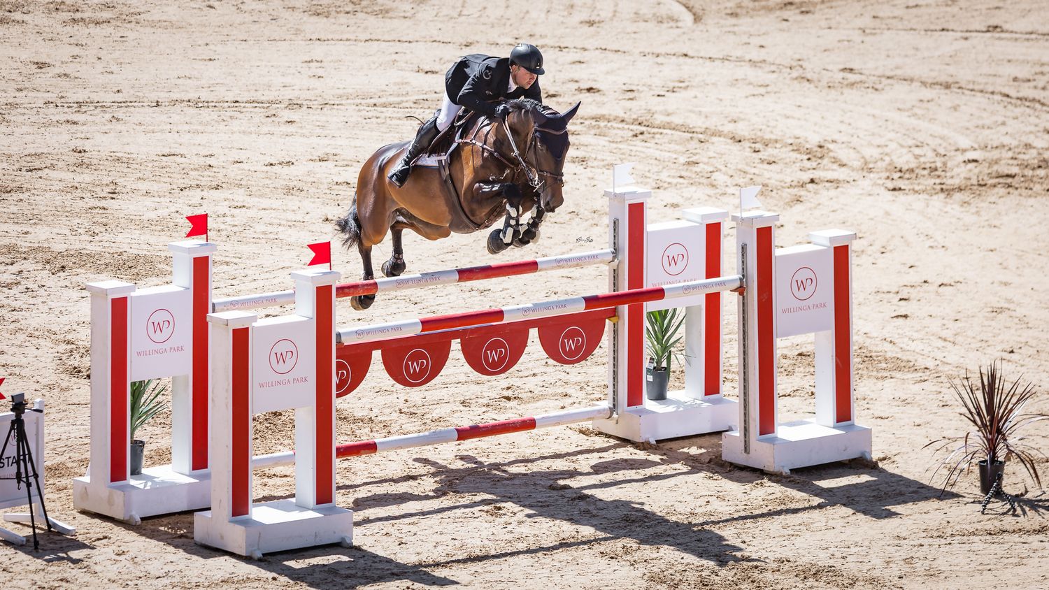 2024 Australian Showjumping Senior Champions Phil Lever & Billionaire NZPH. © Simon Scully, 2024.