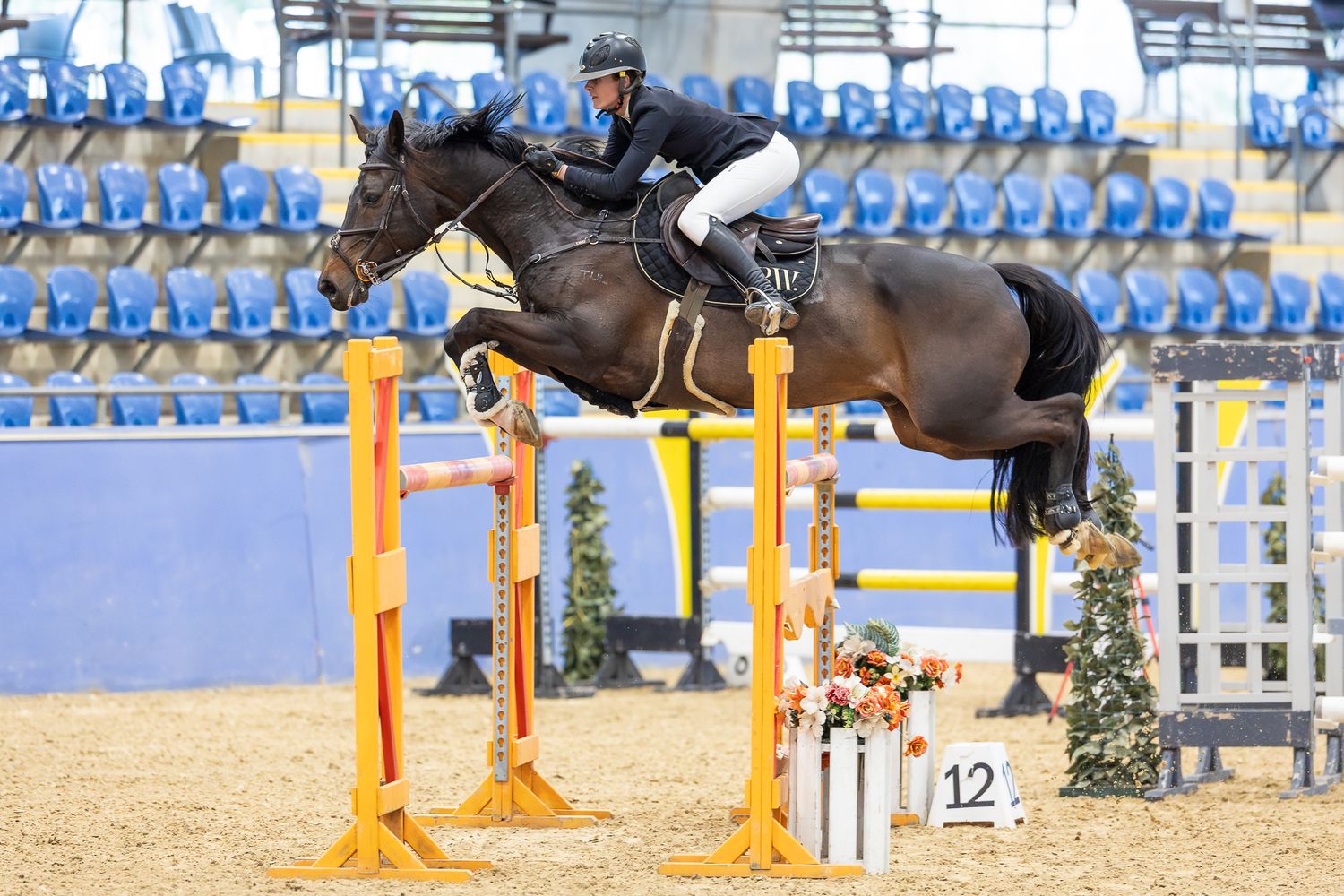 Jess Rice-Ward & Tulara Diarangol jumping 1.40m at the Jumping NSW Winter Classic. © Simon Scully, 2025.