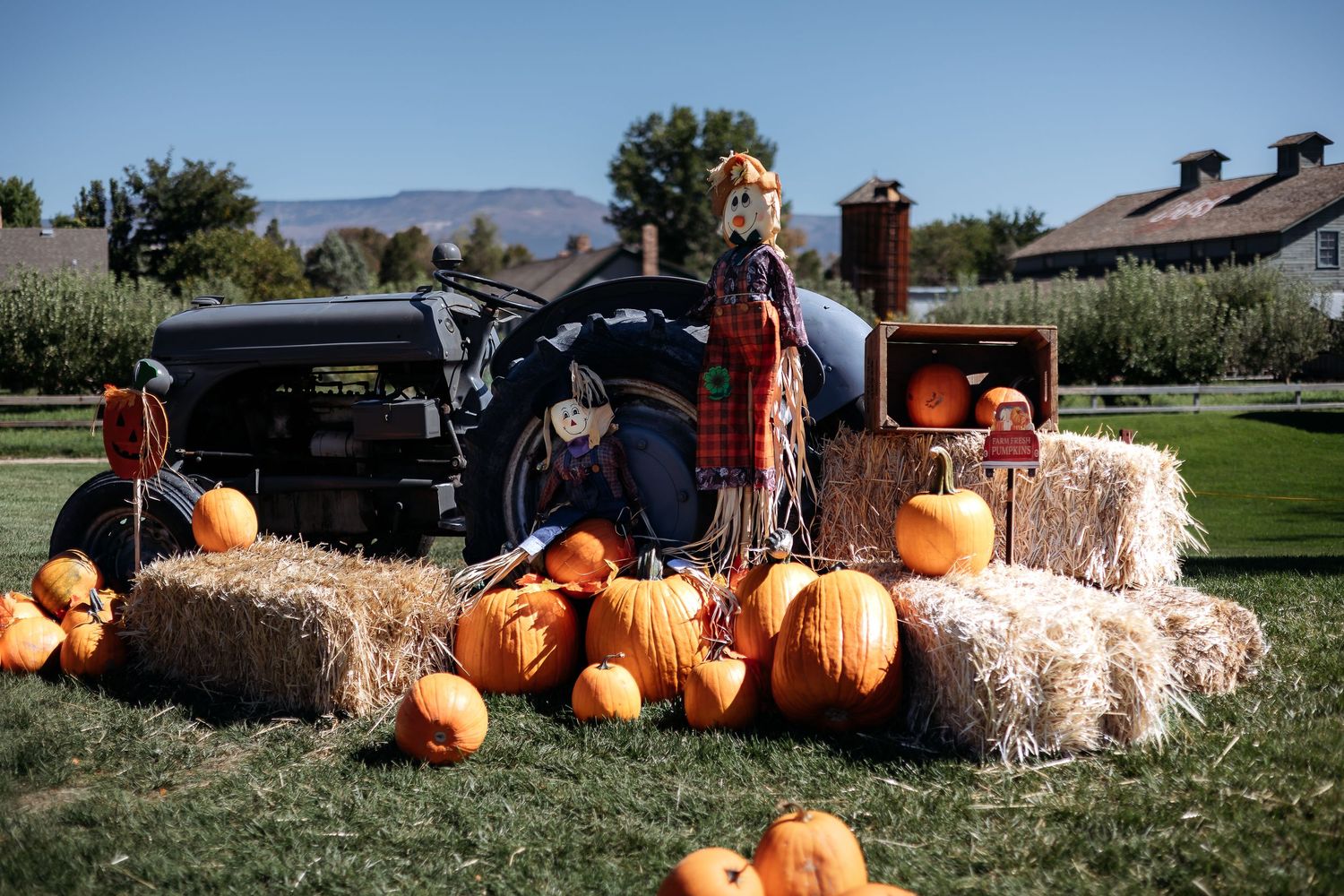 Autumn display with orange pumpkins and hay bales arranged on grass with mountains visible in the background.