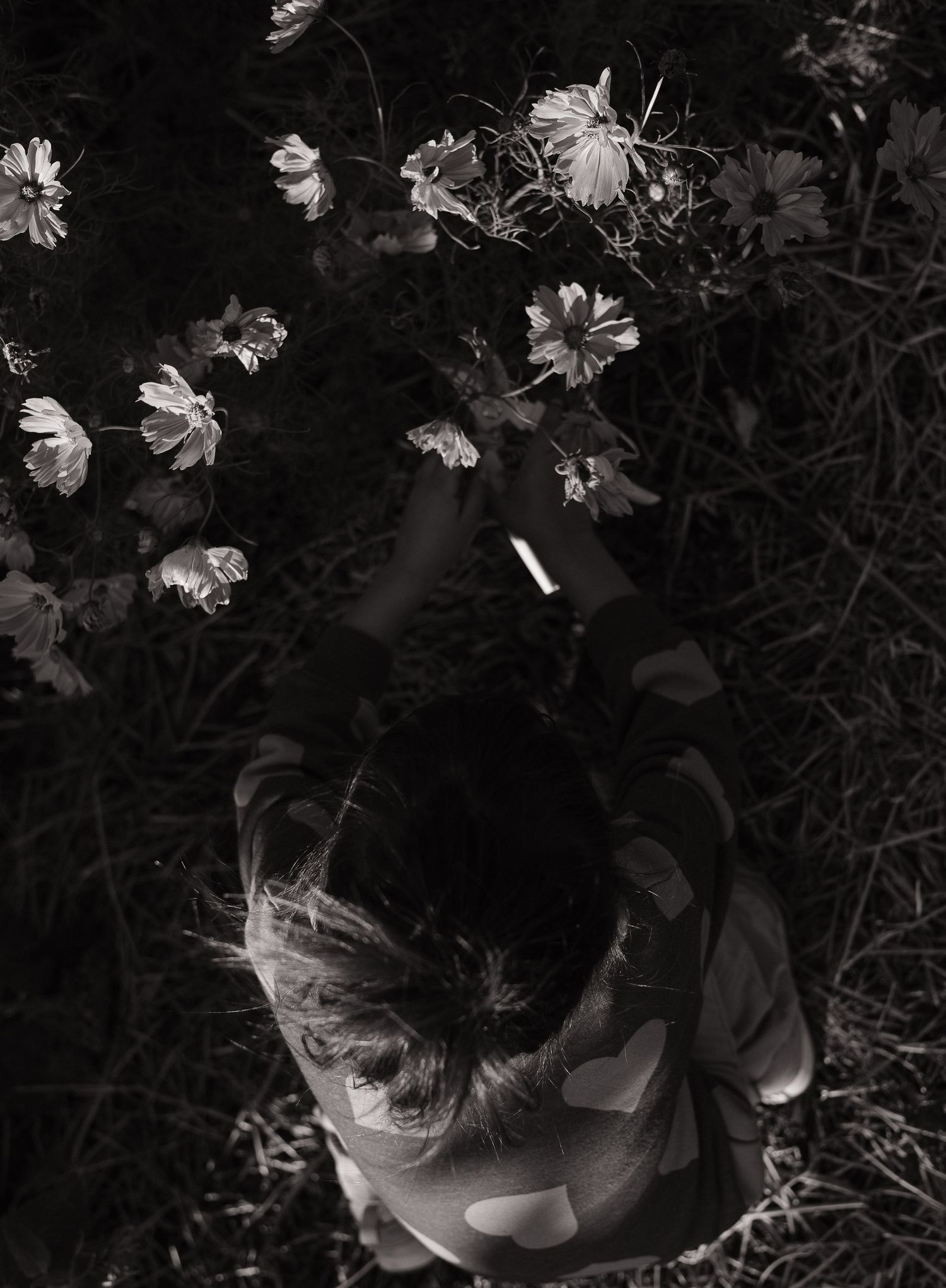 A dramatic black and white series of floral garden scenes with ethereal lighting and silhouettes in a moody setting.