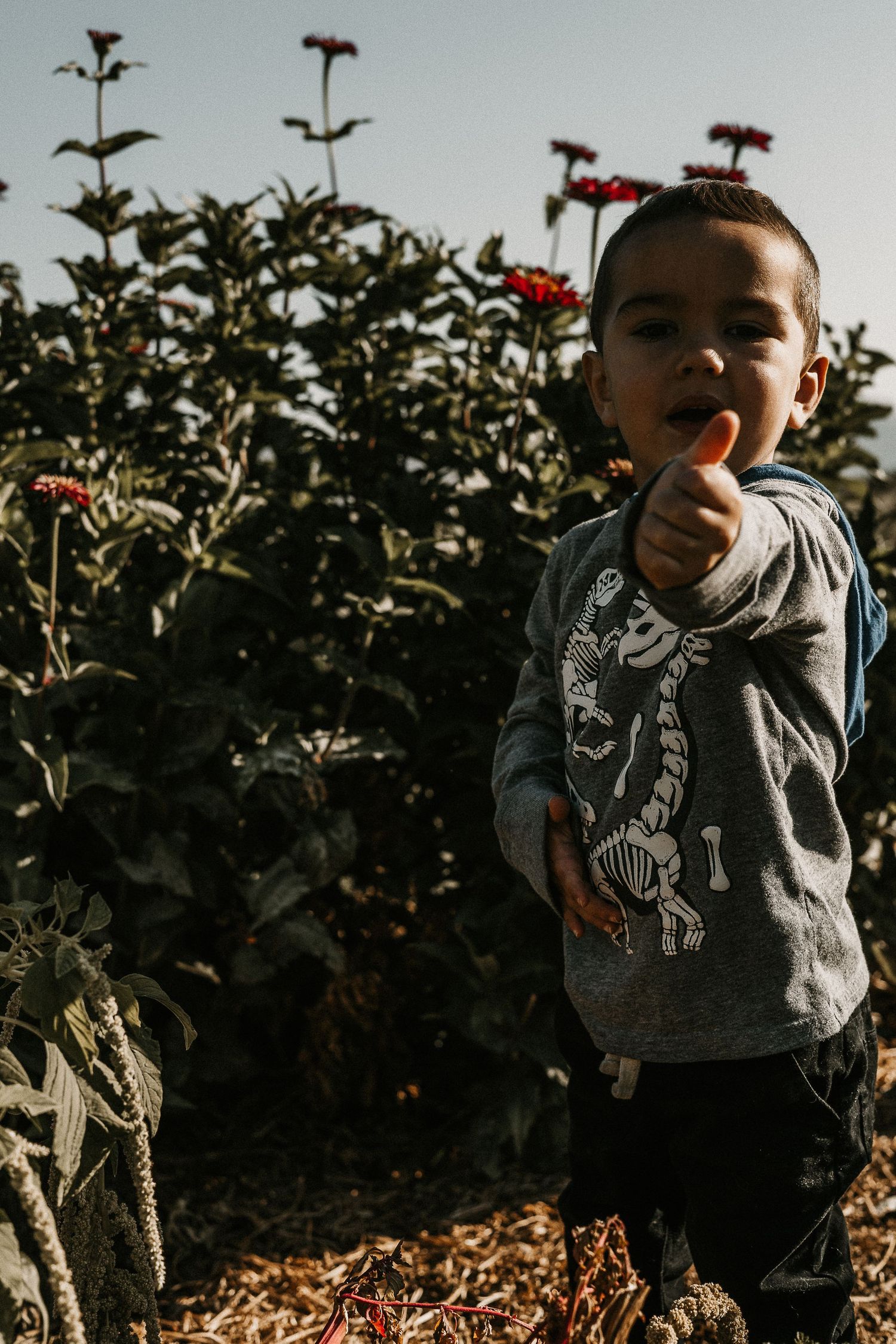 Child in gray sweatshirt plays outdoors among plants and fallen leaves at sunset.