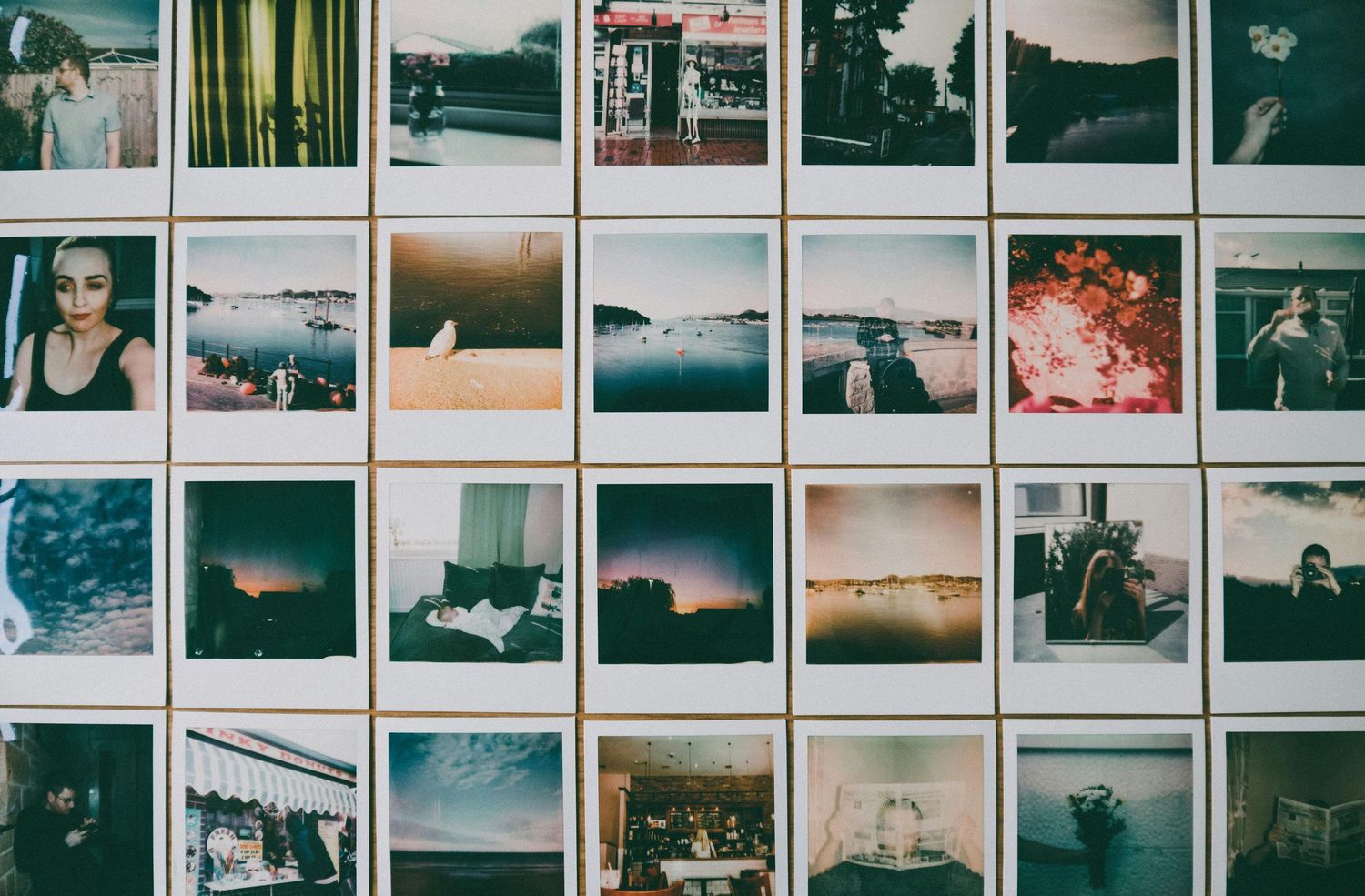 Collection of vintage polaroid photographs arranged in a grid showing landscapes, nature scenes and moments in time.