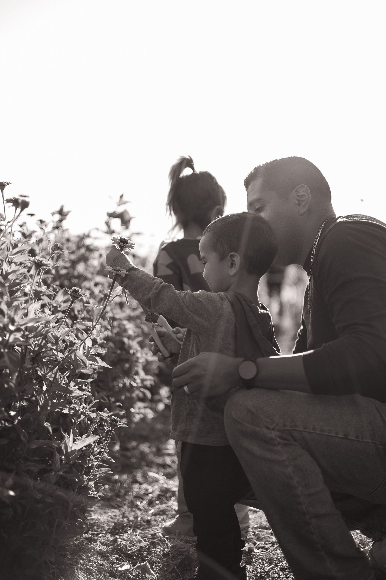 A series of romantic black and white photographs showing a couple embracing and kissing in a garden setting.