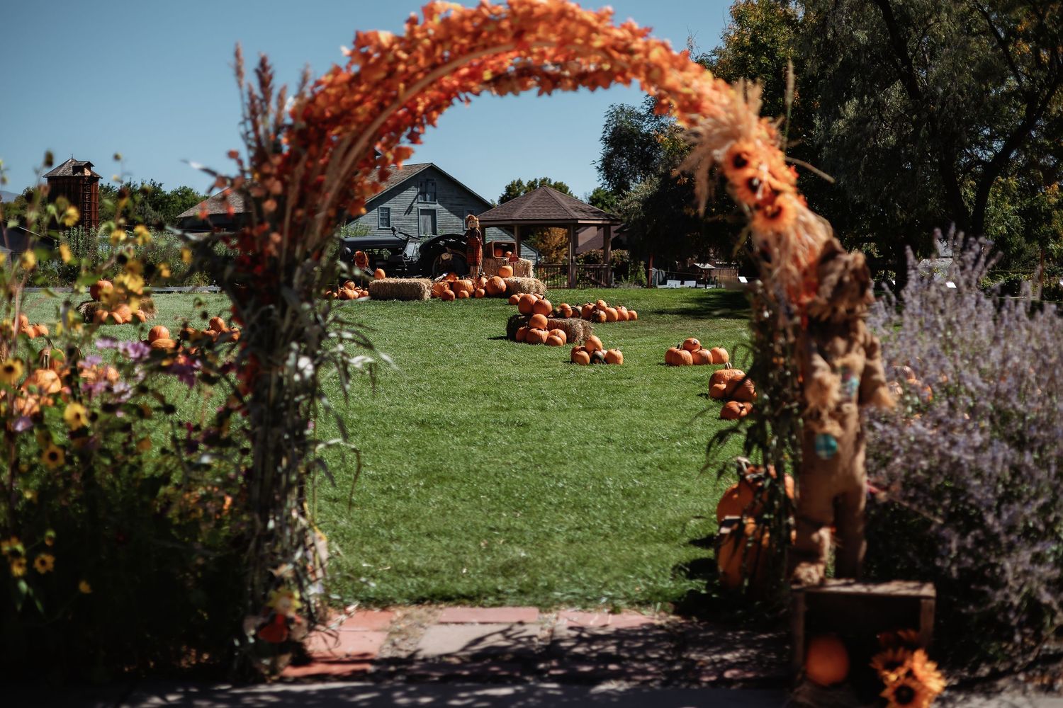Pumpkins and hay bales create a festive autumn display on a sunny lawn with mountains in the background.