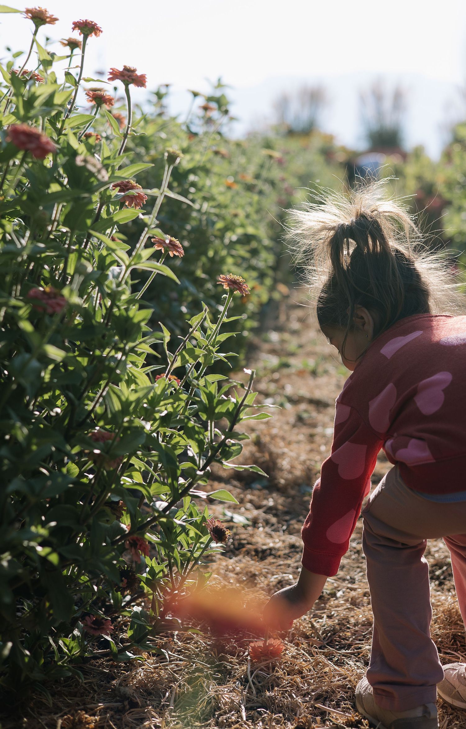 A child in a pink polka dot dress explores a garden of flowers and plants on a sunny day.
