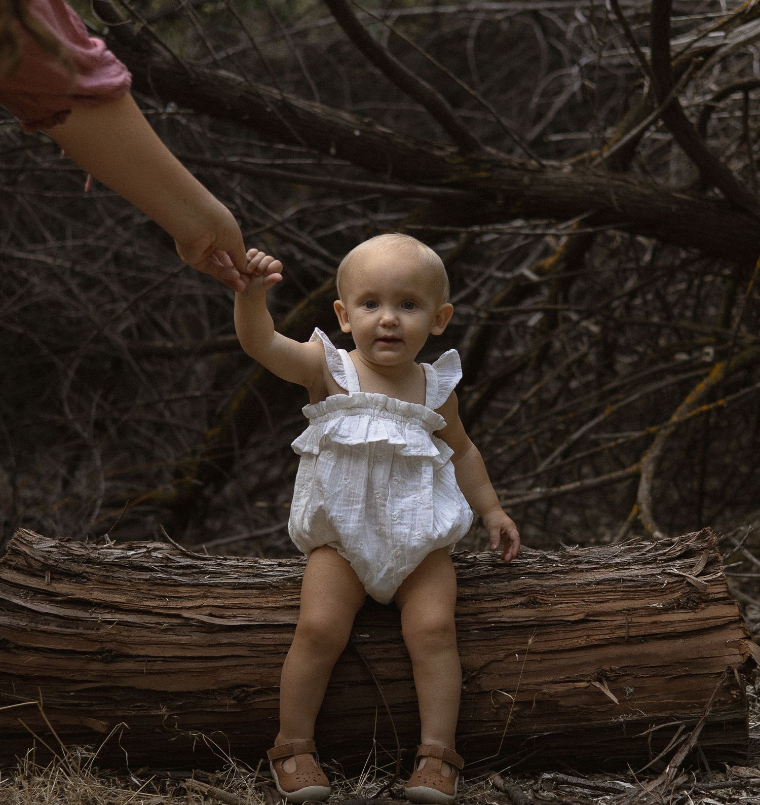 A baby in white romper sits on curved tree trunk in natural outdoor setting while supported by adult hands.