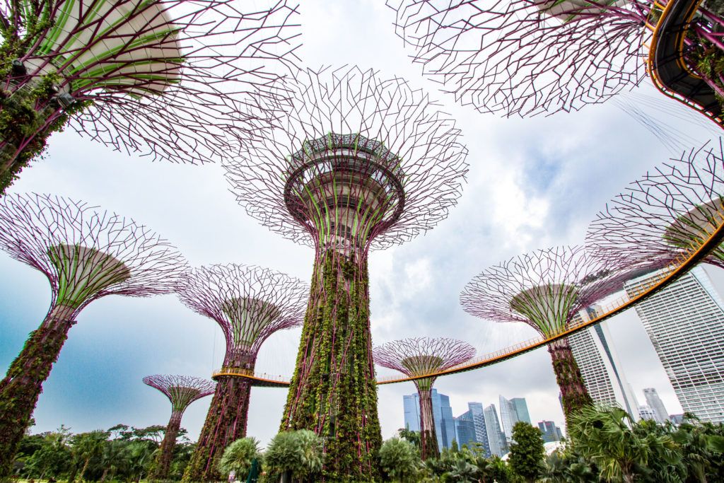 Futuristic Supertree Grove structures at Gardens by the Bay in Singapore with city skyline in background.