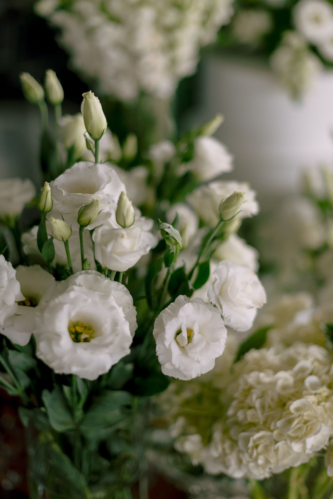 Detailed shots of white lisianthus flowers in a romantic garden setting.
