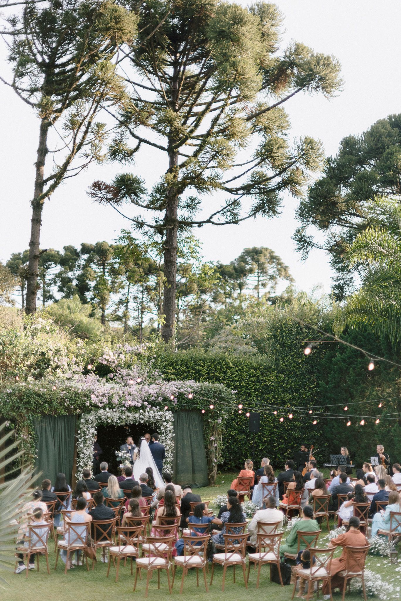 Outdoor wedding ceremony setup with wooden chairs beneath tall pine trees and string lights at dusk, creating a romantic ambiance.