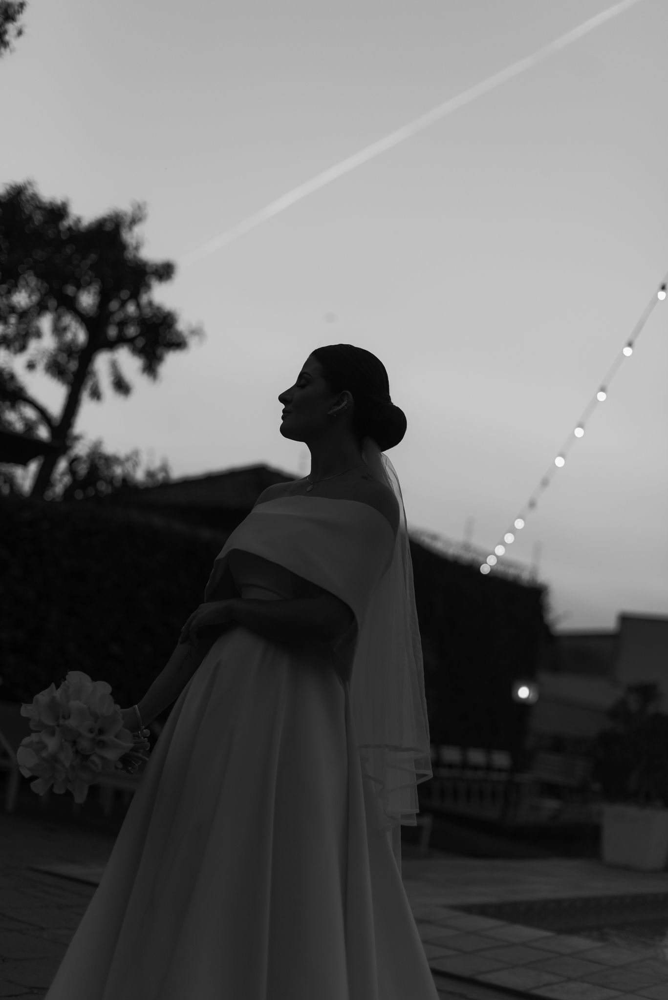 Silhouette of a bride in a flowing gown against a dusky sky with string lights.