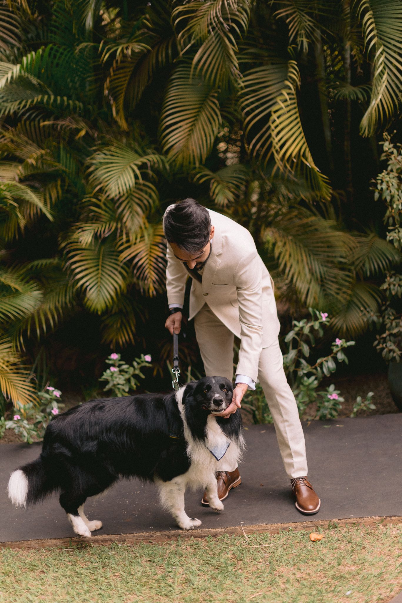 Playful moment with a black and white dog in a tropical garden setting.
