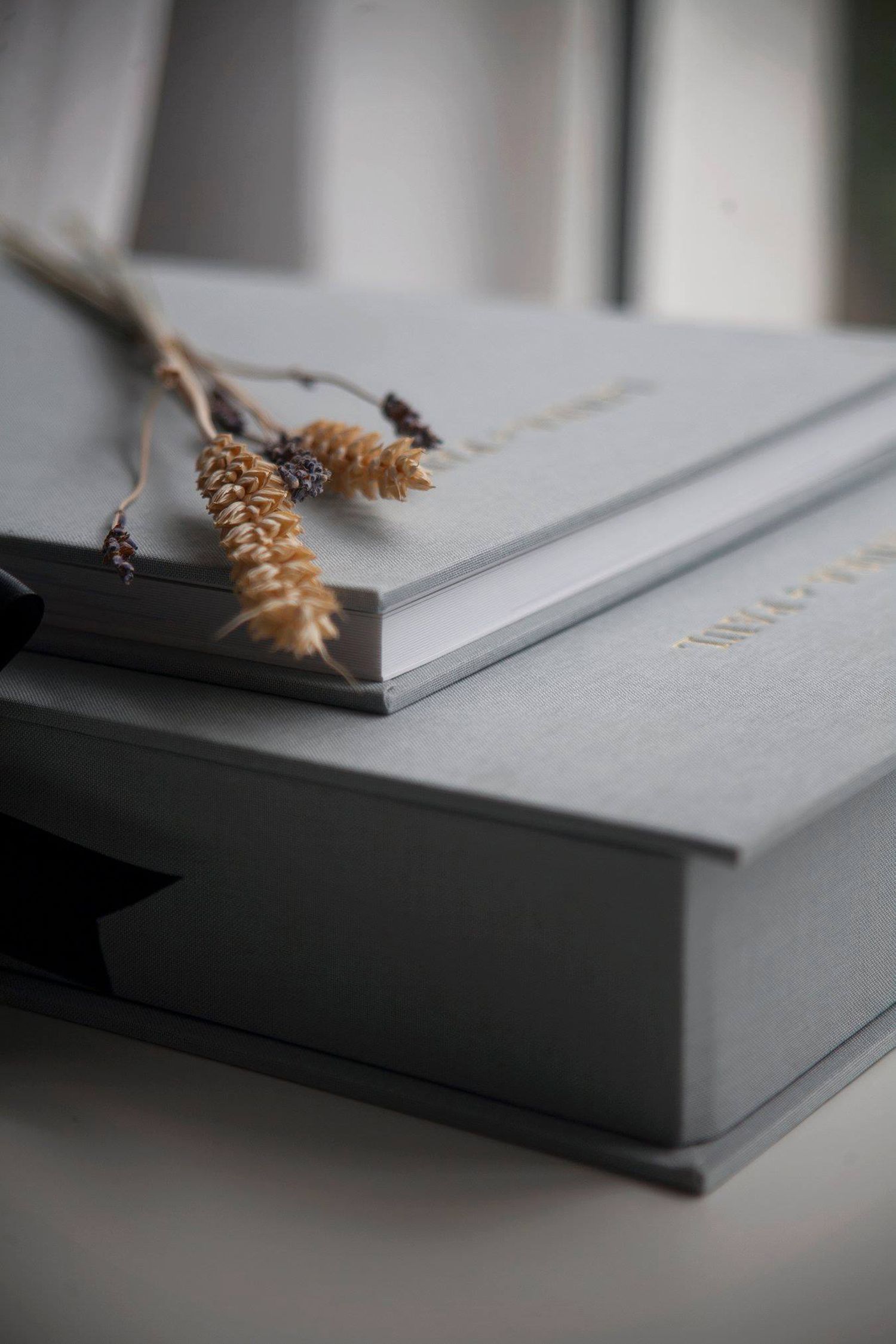 Close-up sequence of dried botanical elements on a gray photo album cover.