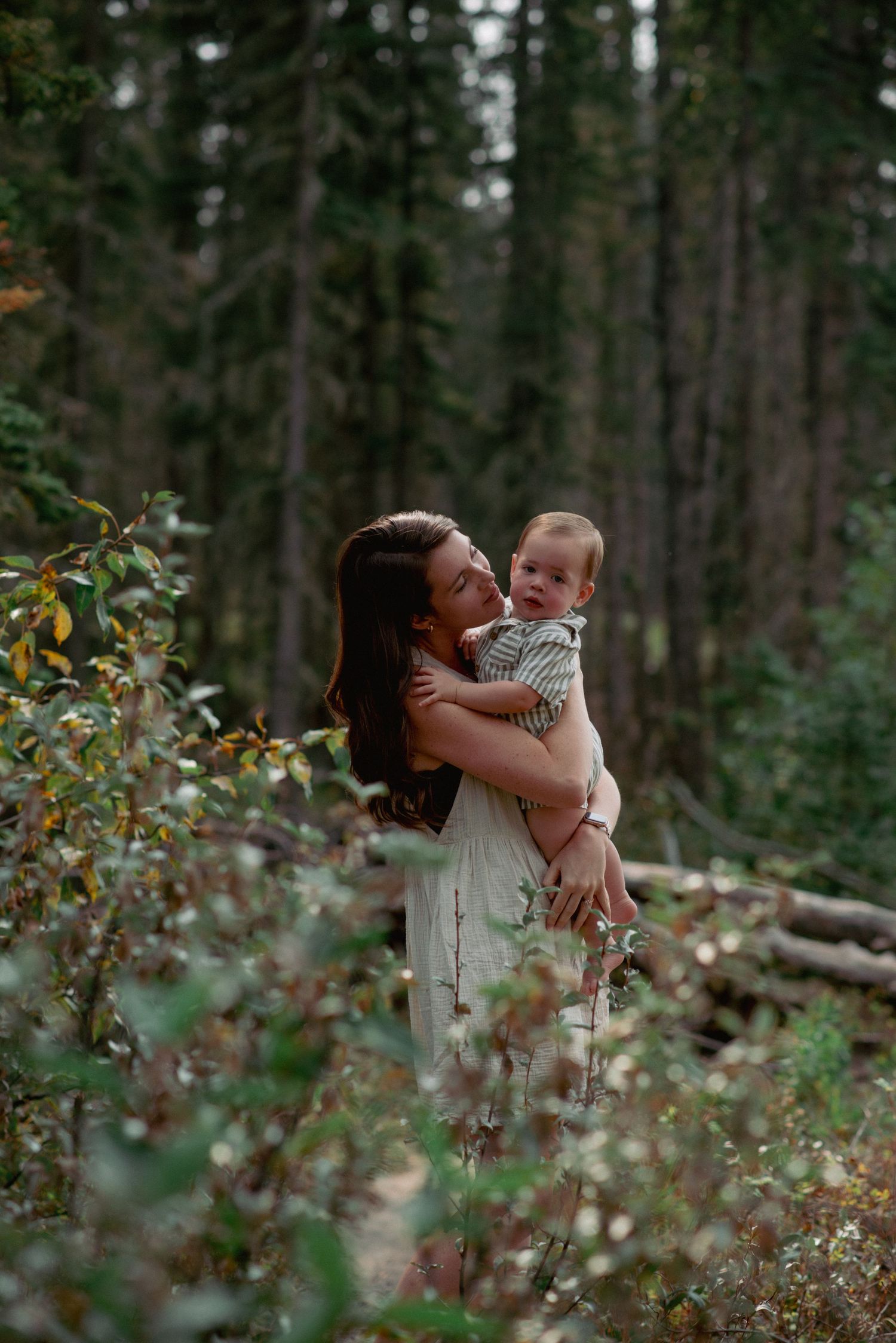 Candid family photography Rocky Mountains, toddler in mom’s arms during forest session
