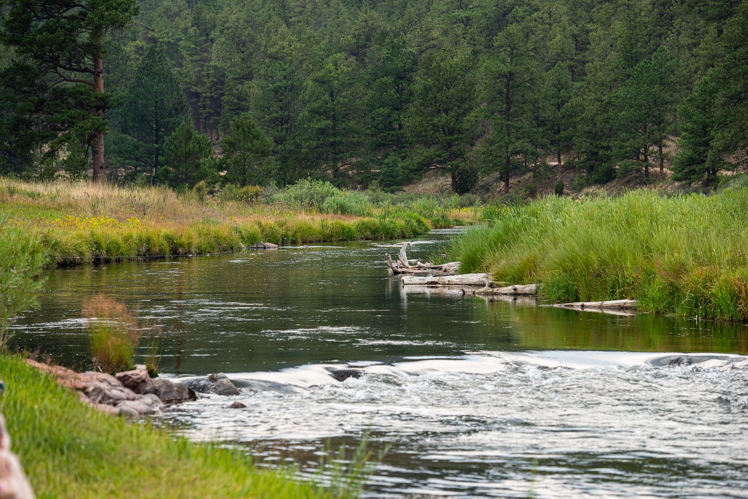 Scenic river landscape with rushing water and green forest surroundings.