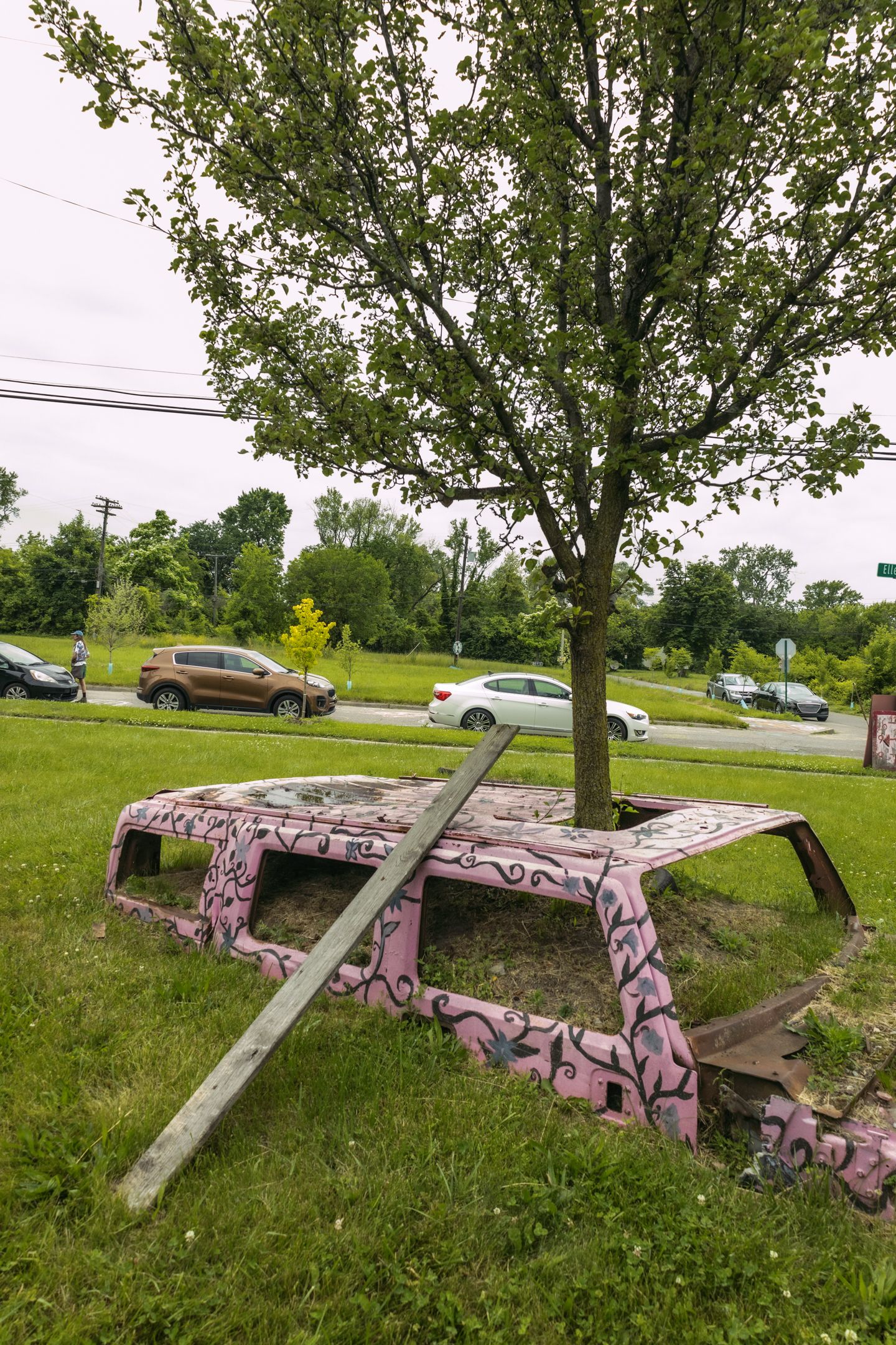 Pink graffiti-painted car roof on grass with a tree growing through it near a busy road.