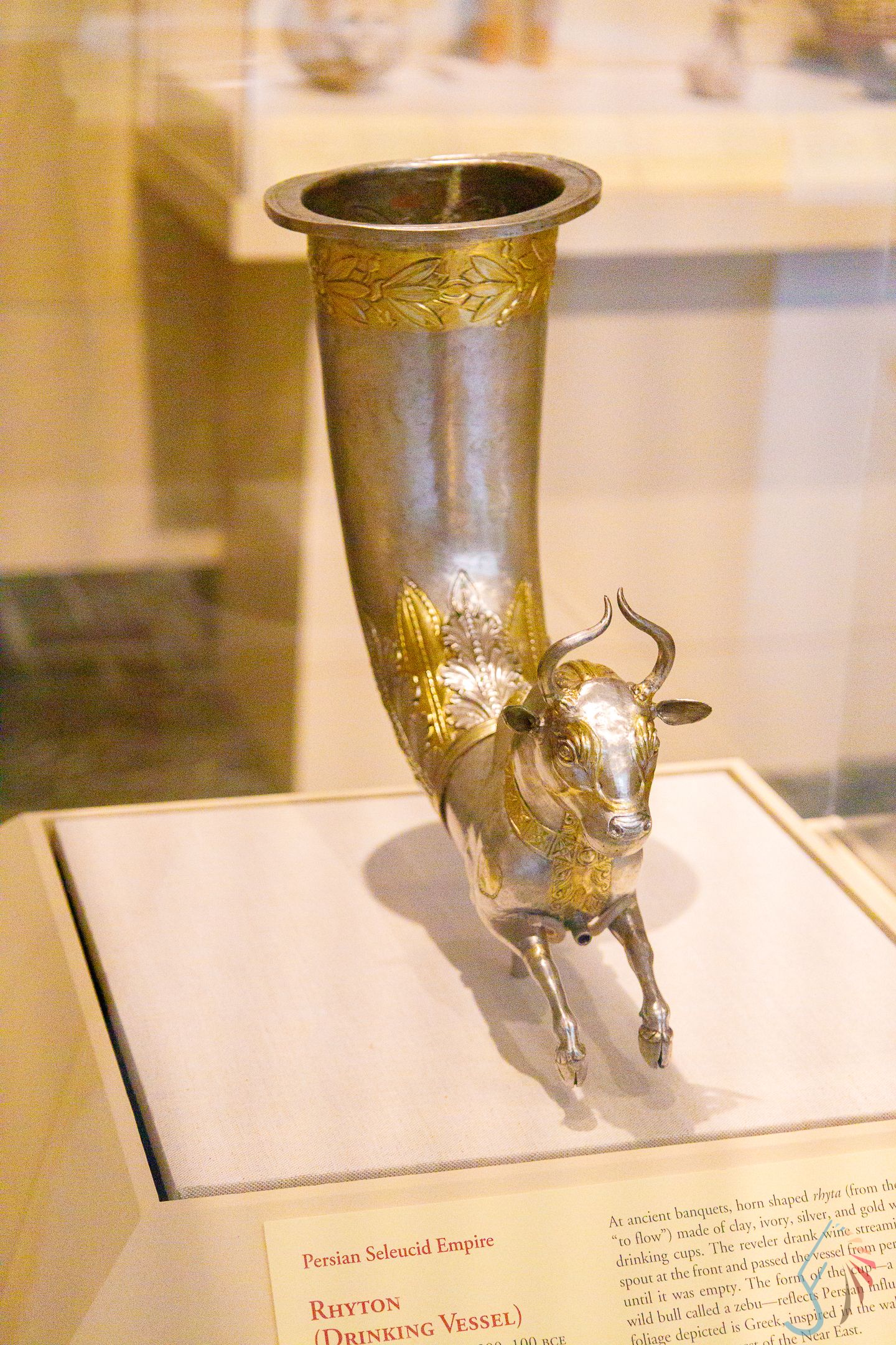 Ancient Persian Seleucid Empire silver and gold rhyton drinking vessel shaped like a bull on display.