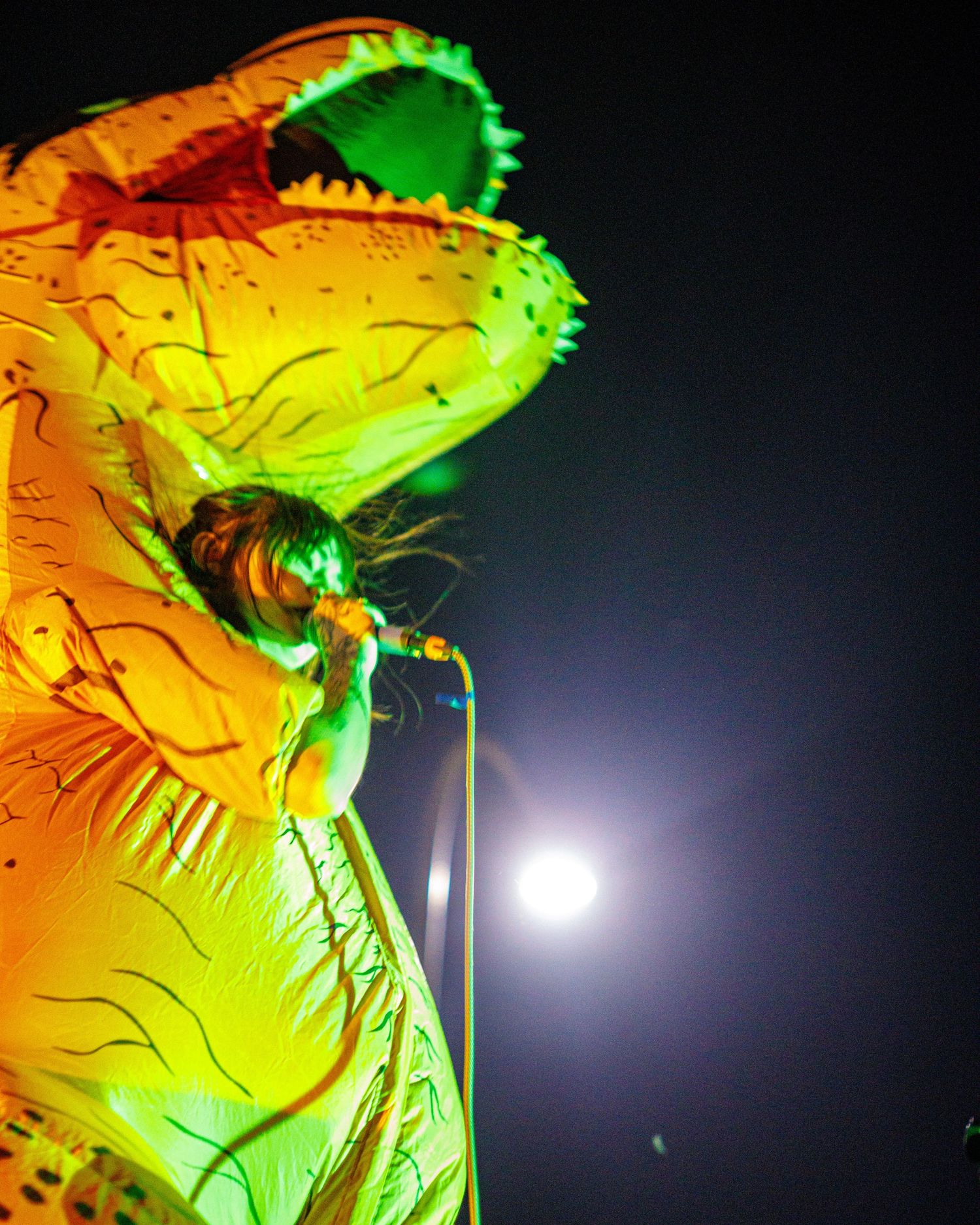 Performer singing in inflatable dinosaur costume under stage lights at outdoor night concert.