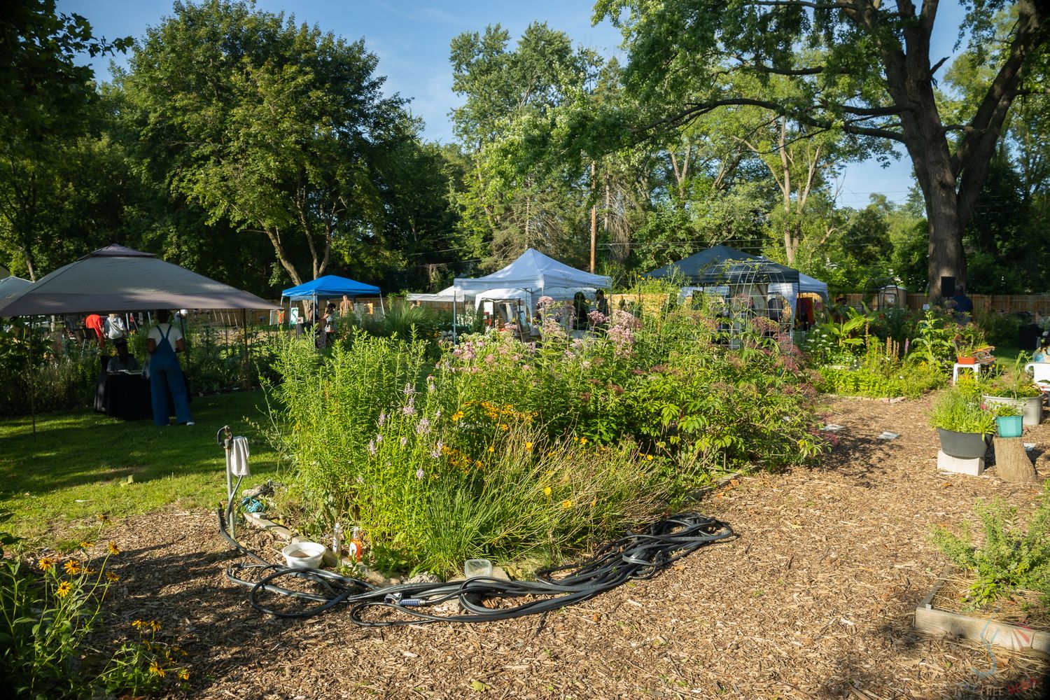 Outdoor community garden event with vendor tents and lush greenery on a sunny day.