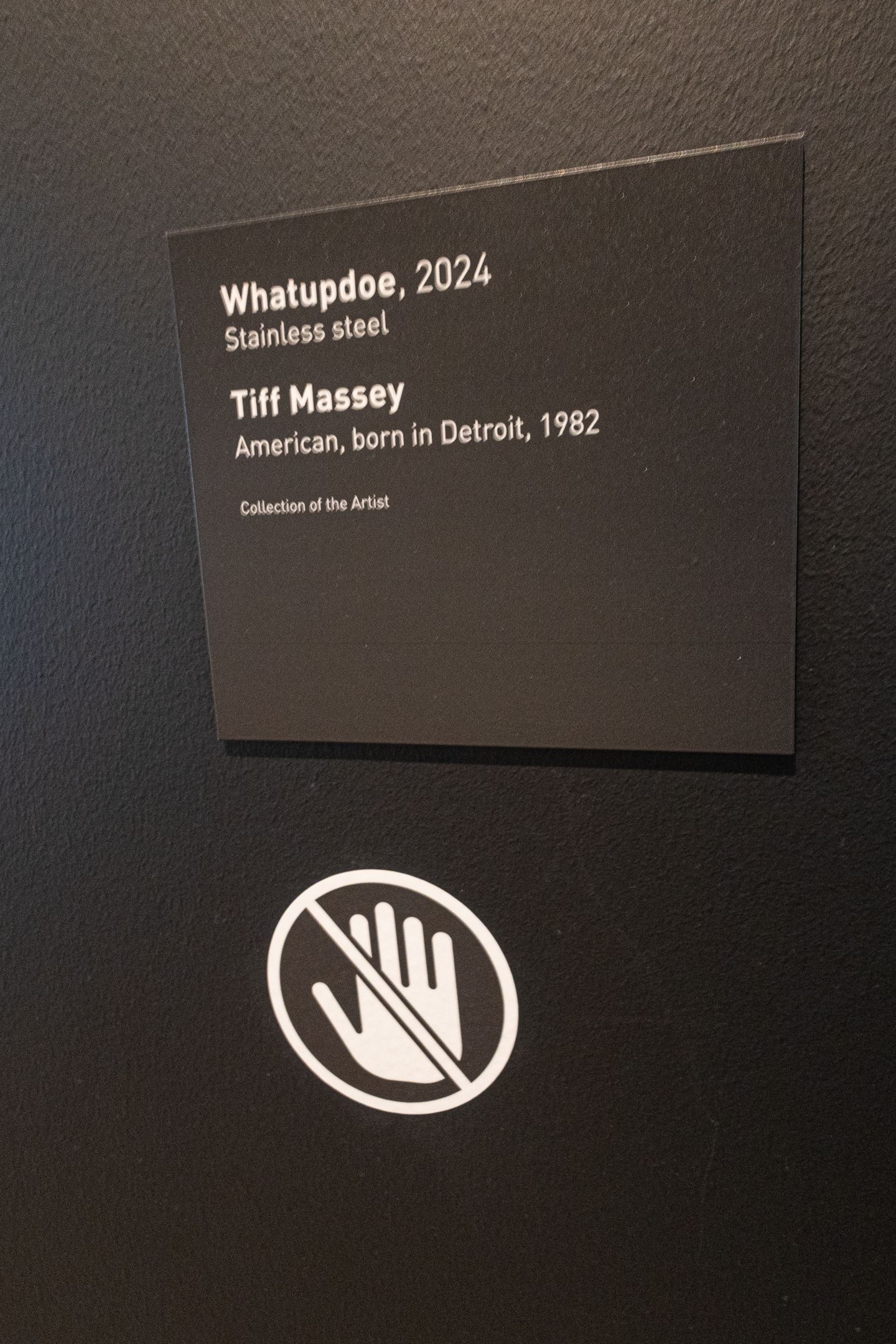 Museum wall label for Whatupdoe 2024 stainless steel artwork by Tiff Massey, American artist born in Detroit 1982.