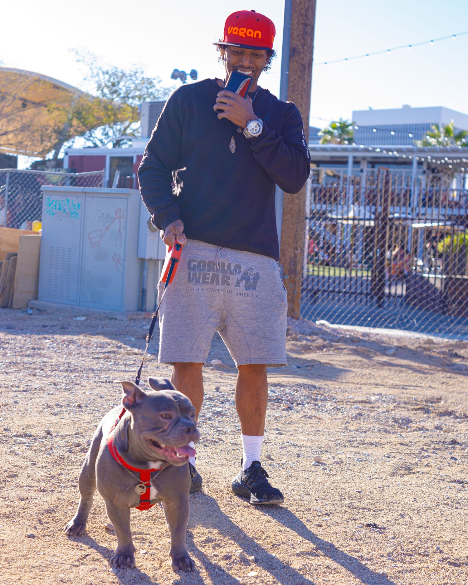 Man in red vegan hat walks gray pitbull on leash outdoors while talking on phone wearing Gorilla Wear shorts.