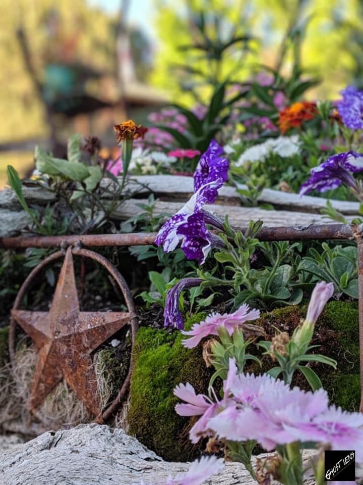 Garden display with purple flowers and rustic metal star decoration.