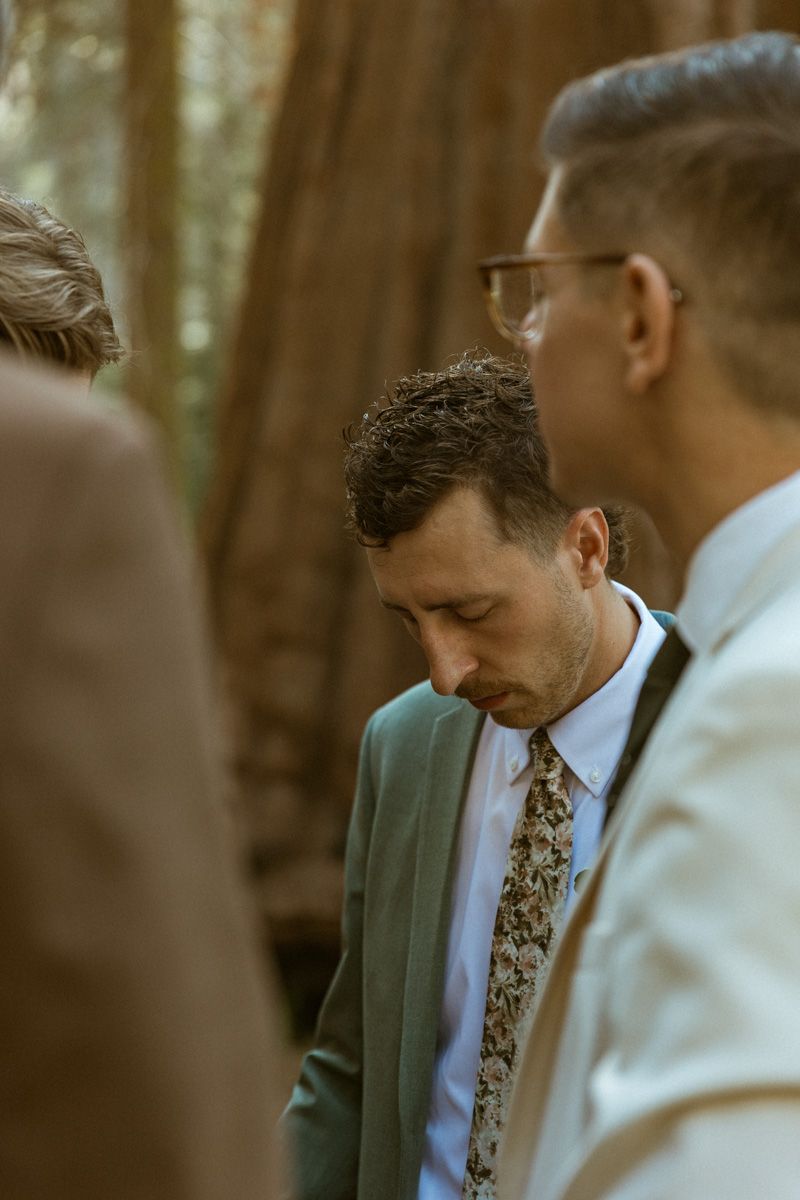 Intimate gathering in a redwood forest with soft natural lighting.