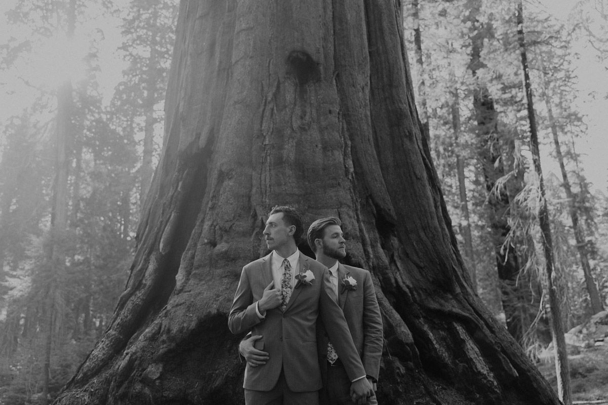 Wedding couple standing among towering redwood trees in a misty forest setting.
