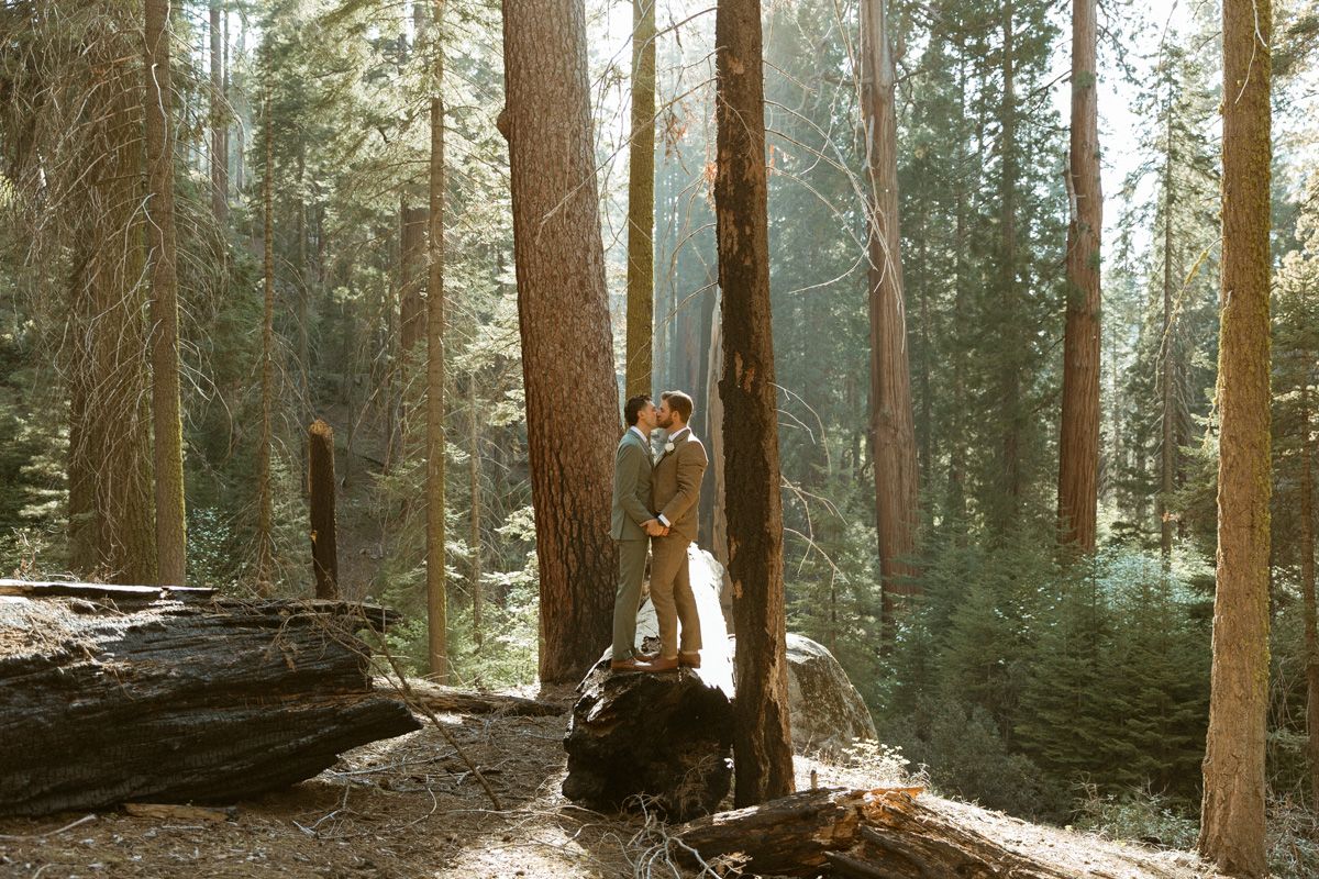 A couple poses for a photo on a fallen tree trunk in a sunlit forest.