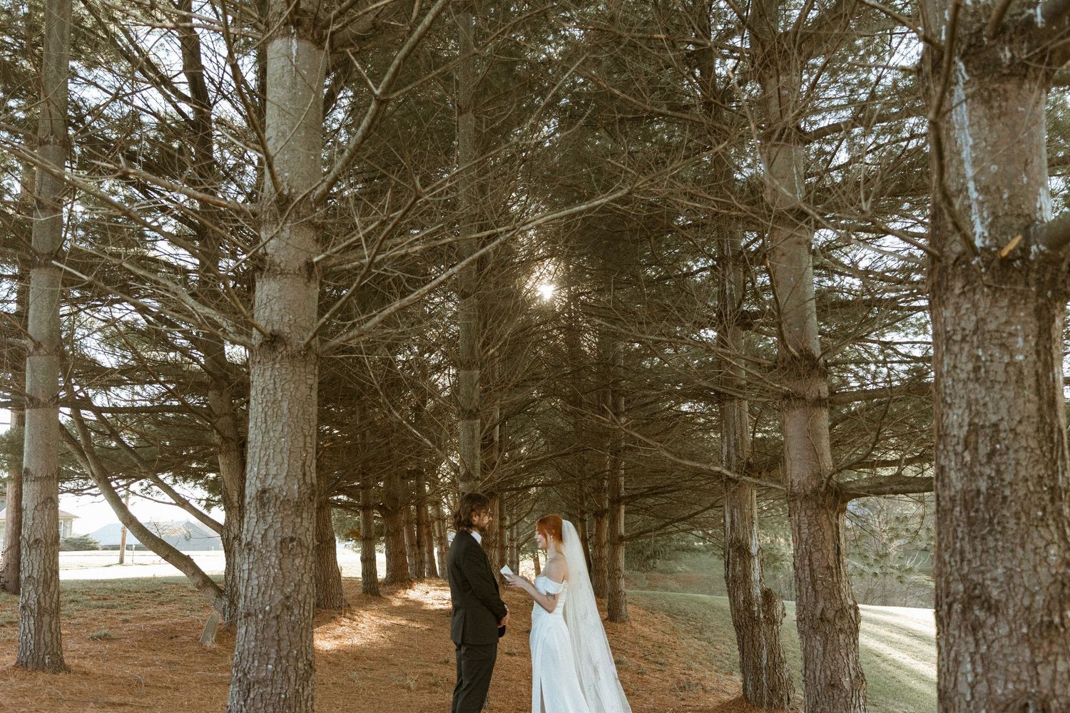 Newlyweds standing among tall pine trees in romantic wedding photography.