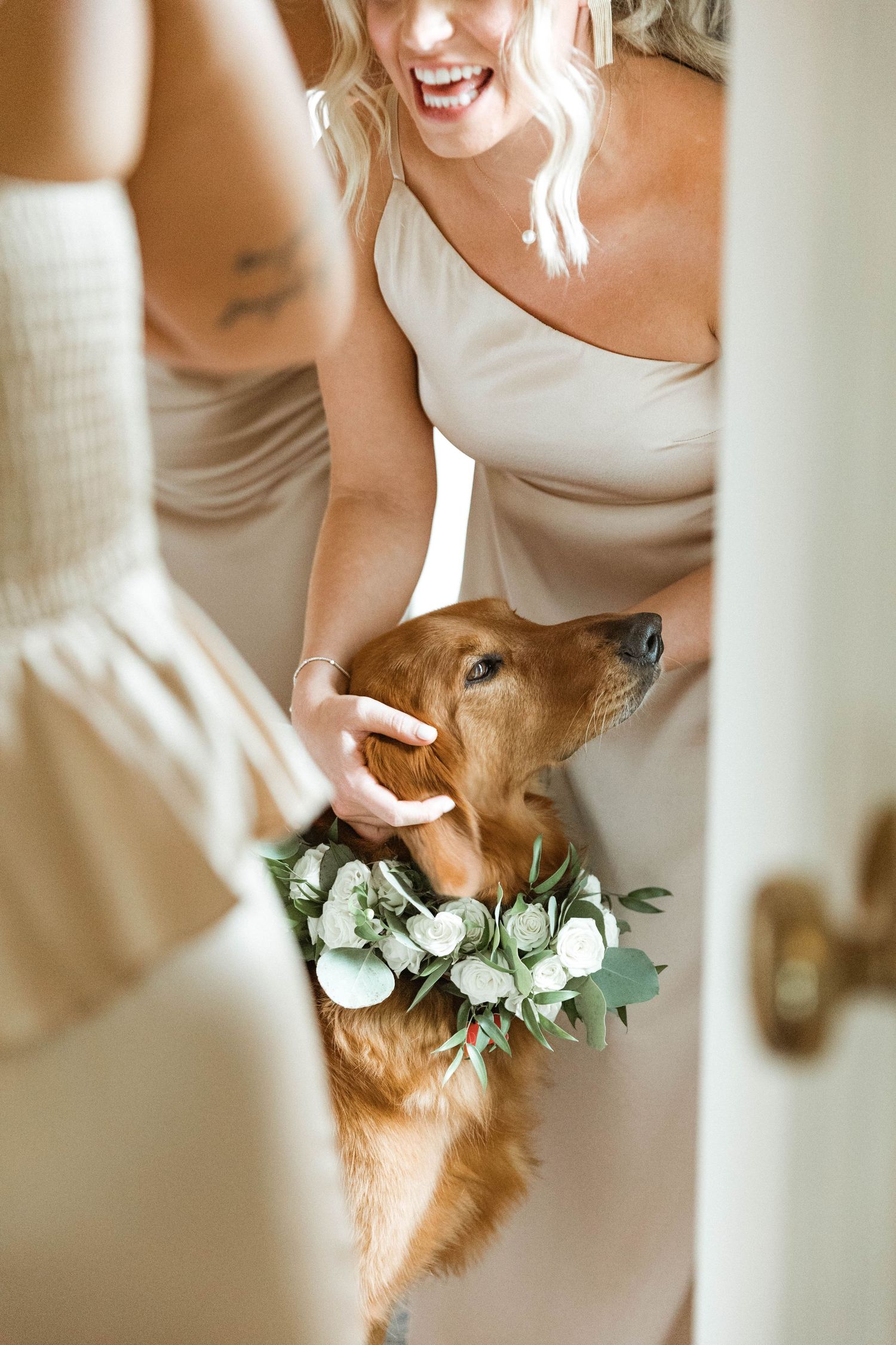 Golden retriever wearing floral collar being pet by someone in a light colored dress.